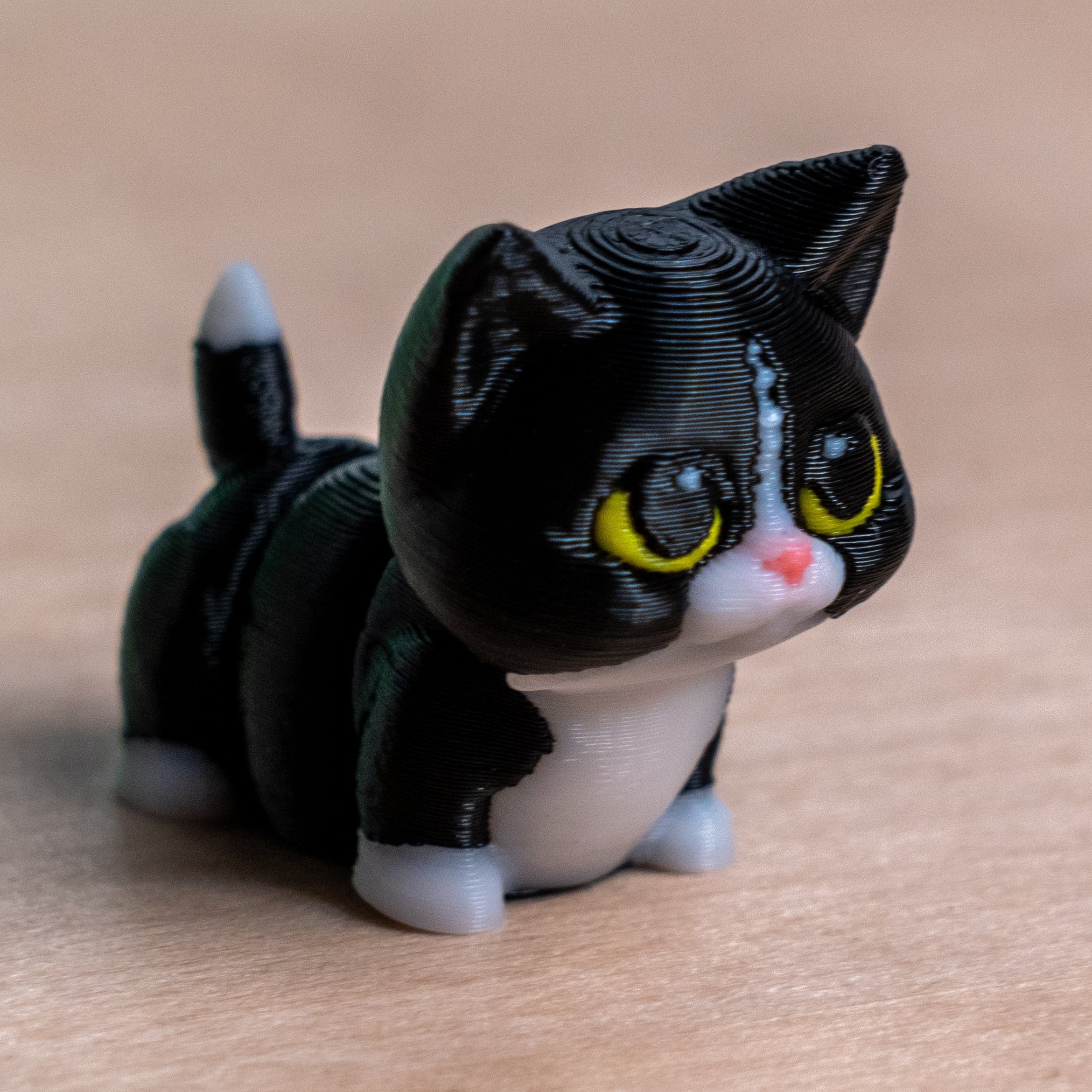 Modokin Gato Mestizo Negro con Blanco