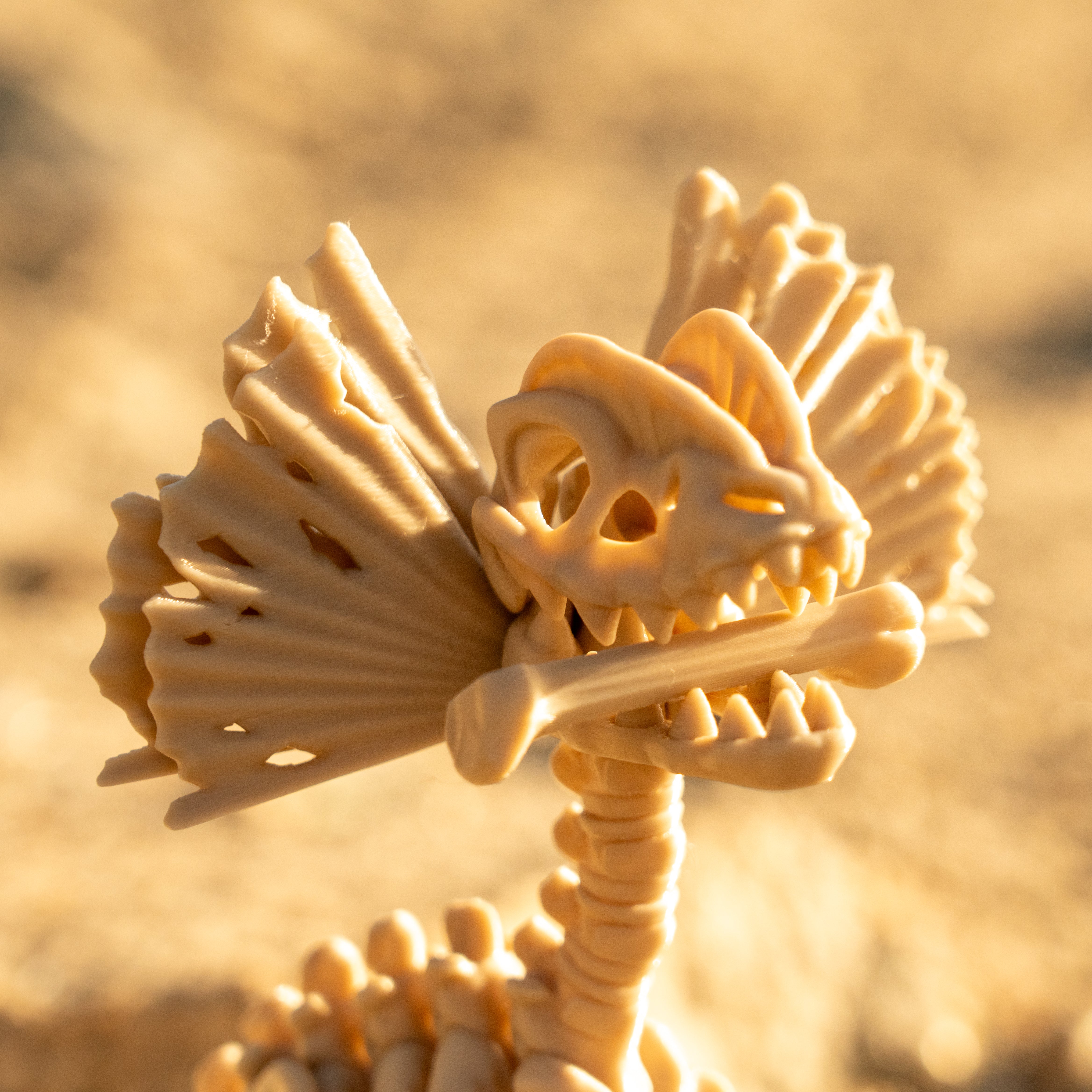 Dilophosaurus Esqueleto Articulado