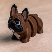 Modokin French Bulldog