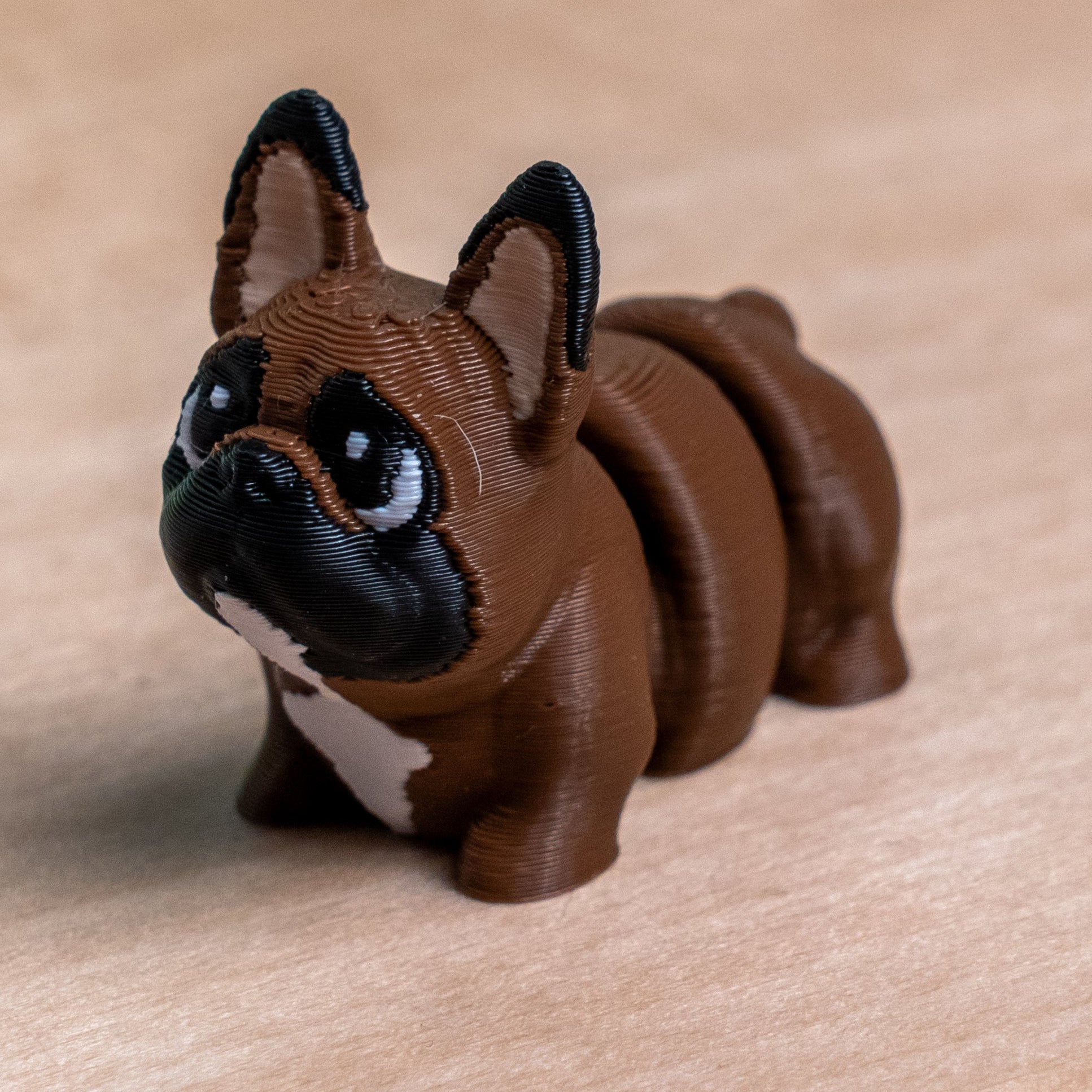Modokin French Bulldog