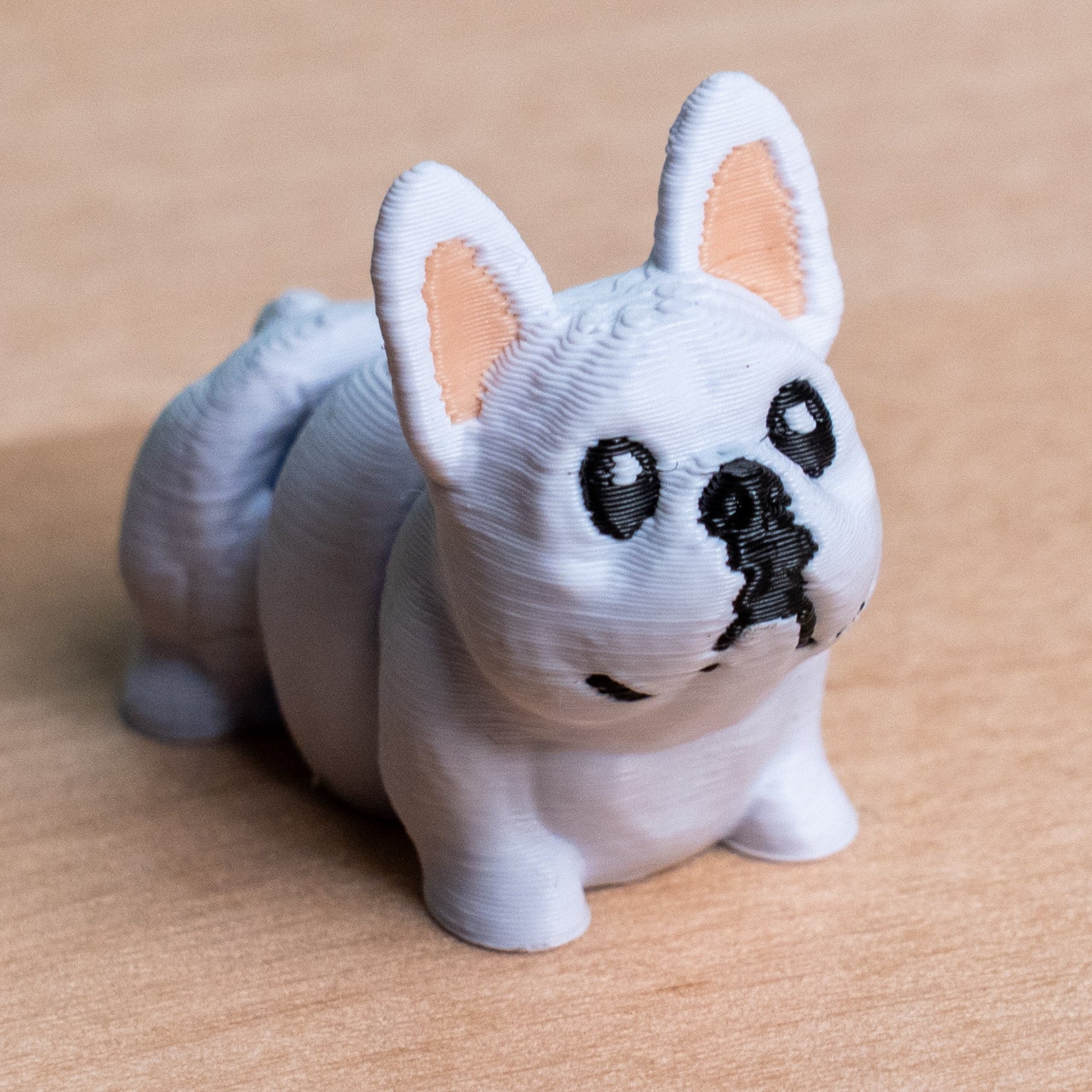 Modokin French Bulldog