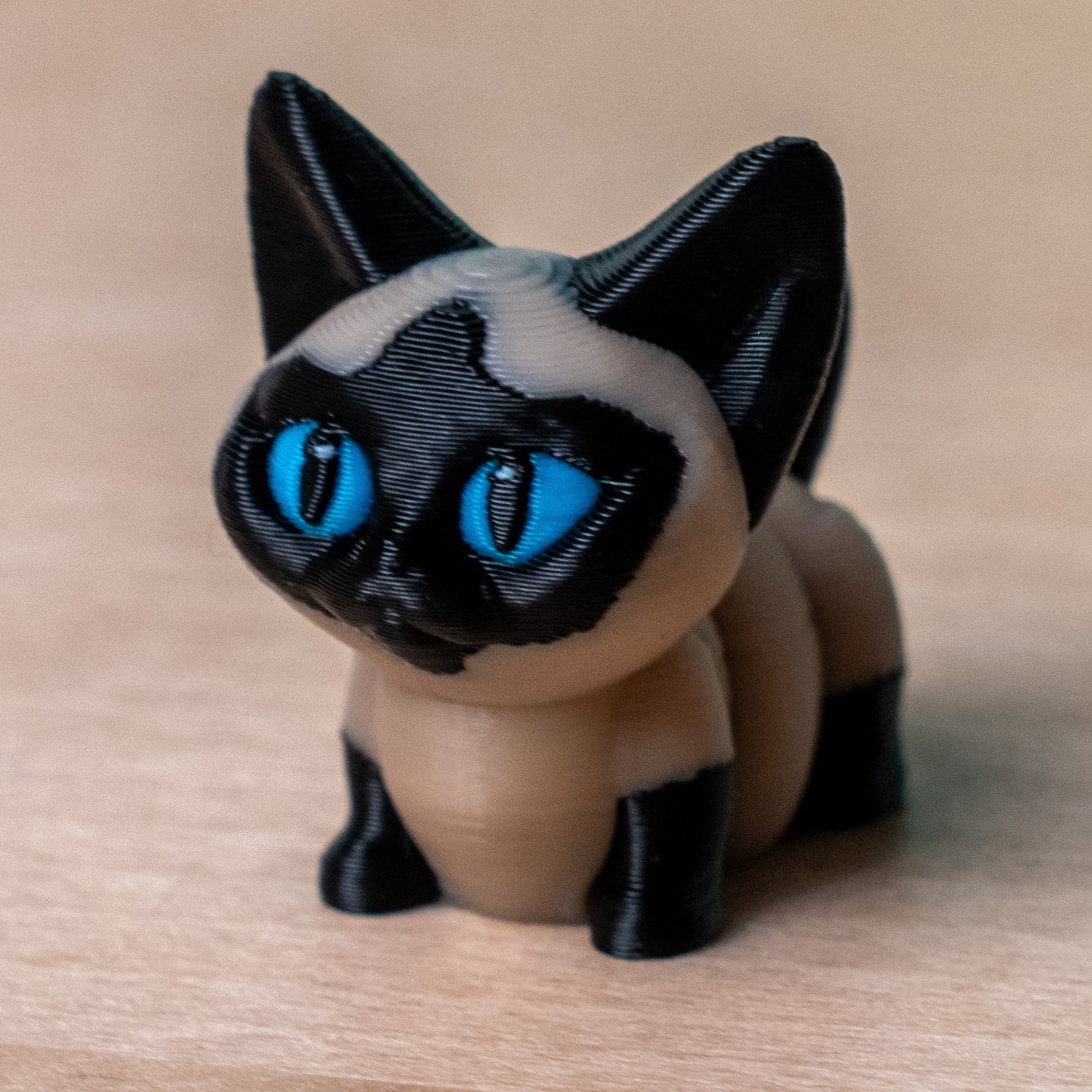 Modokin Gato Siamés