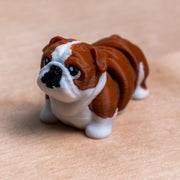 Modokin English Bulldog Dog