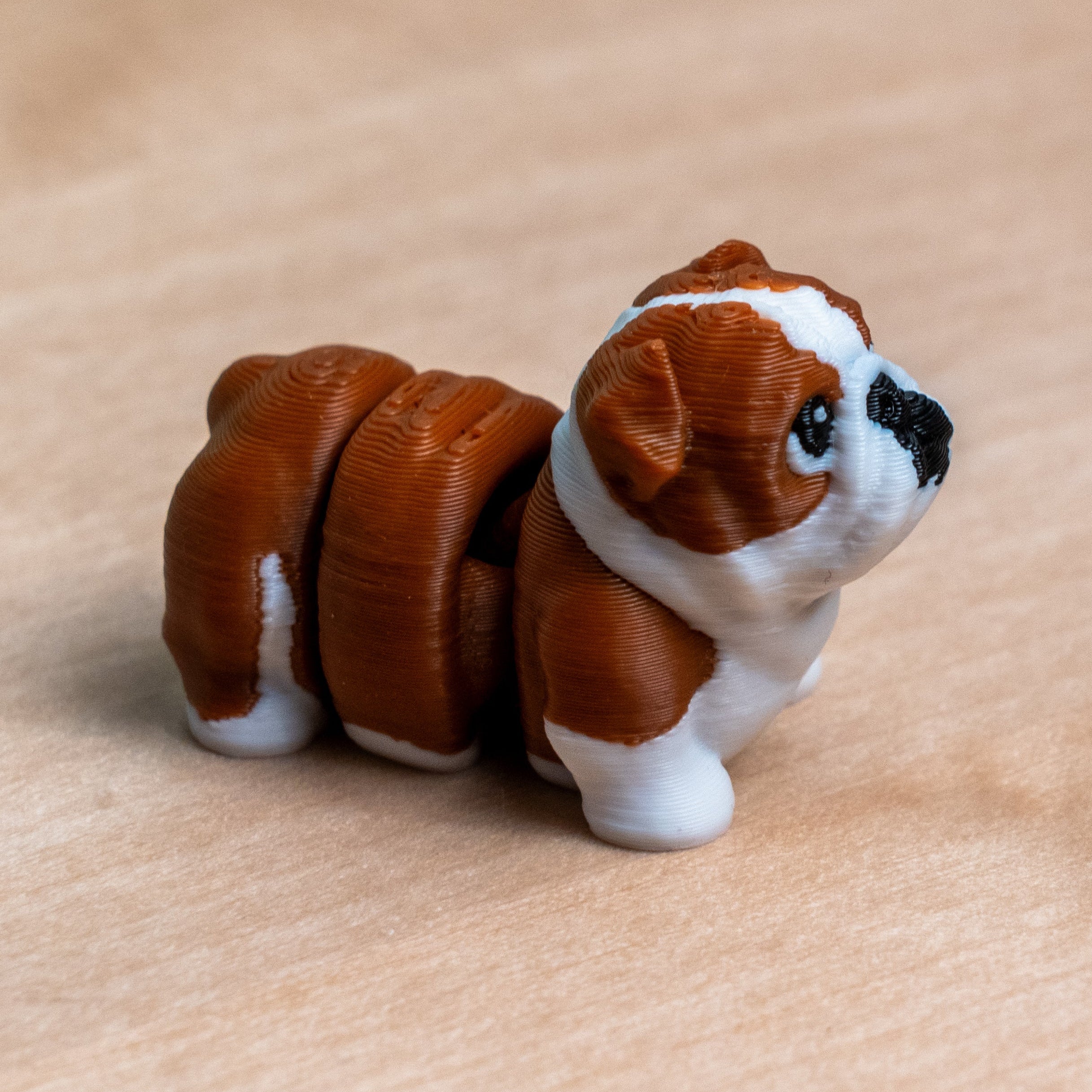 Modokin English Bulldog Dog