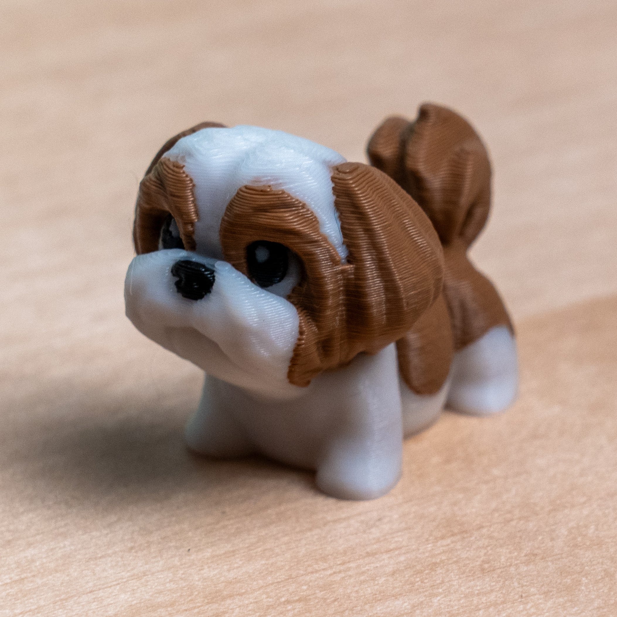 Modokin Shih Tzu dog