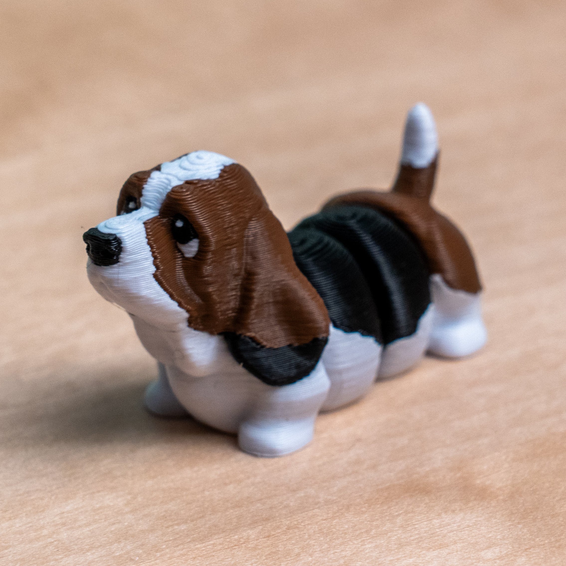 Modokin Basset Hound