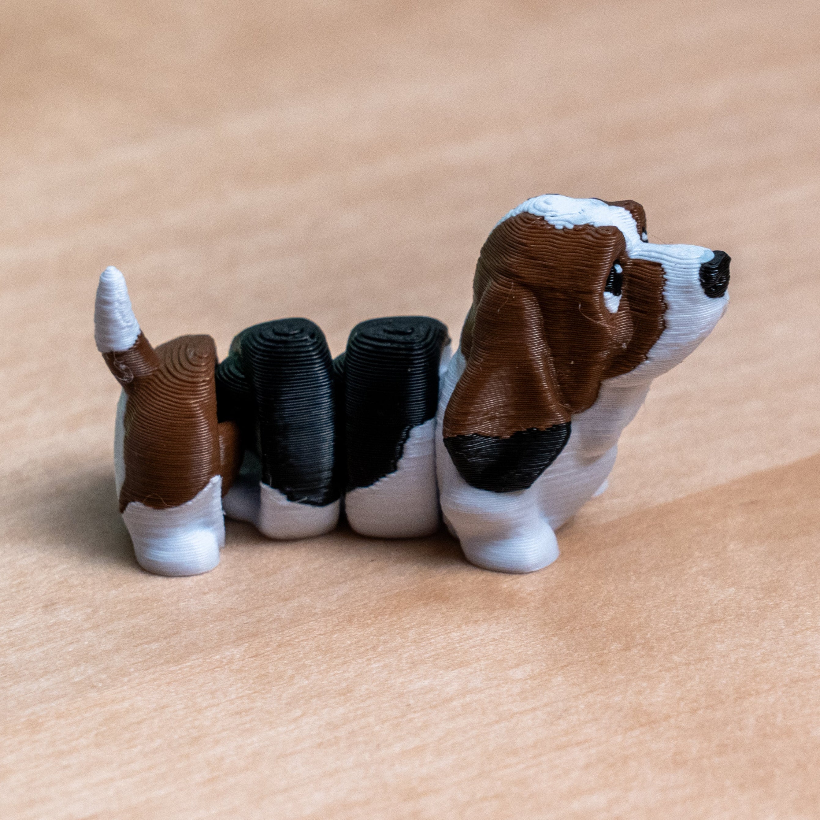 Modokin Basset Hound