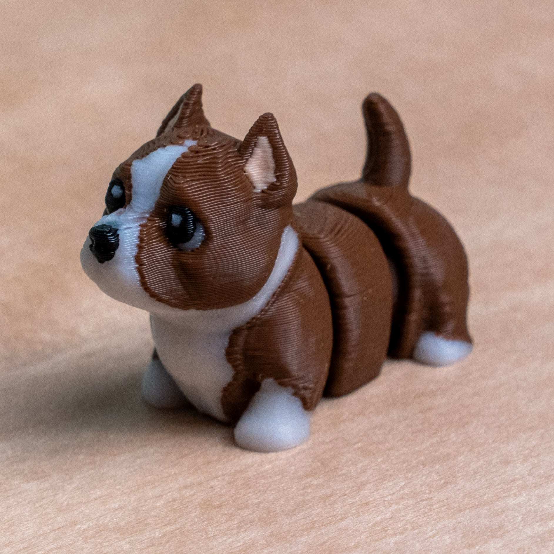 Modokin American Pit Bull Terrier