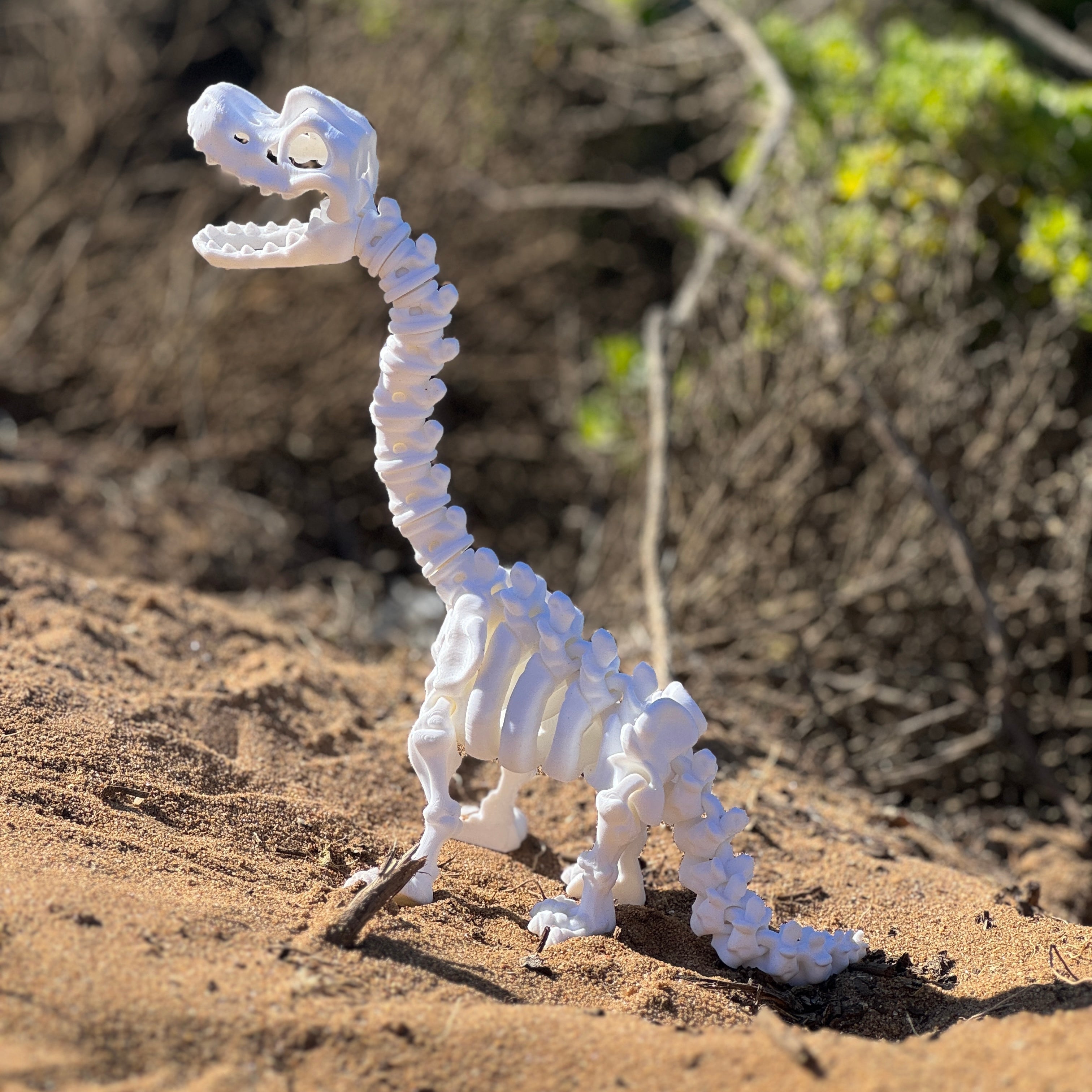 Braquiosaurio Esqueleto Articulado