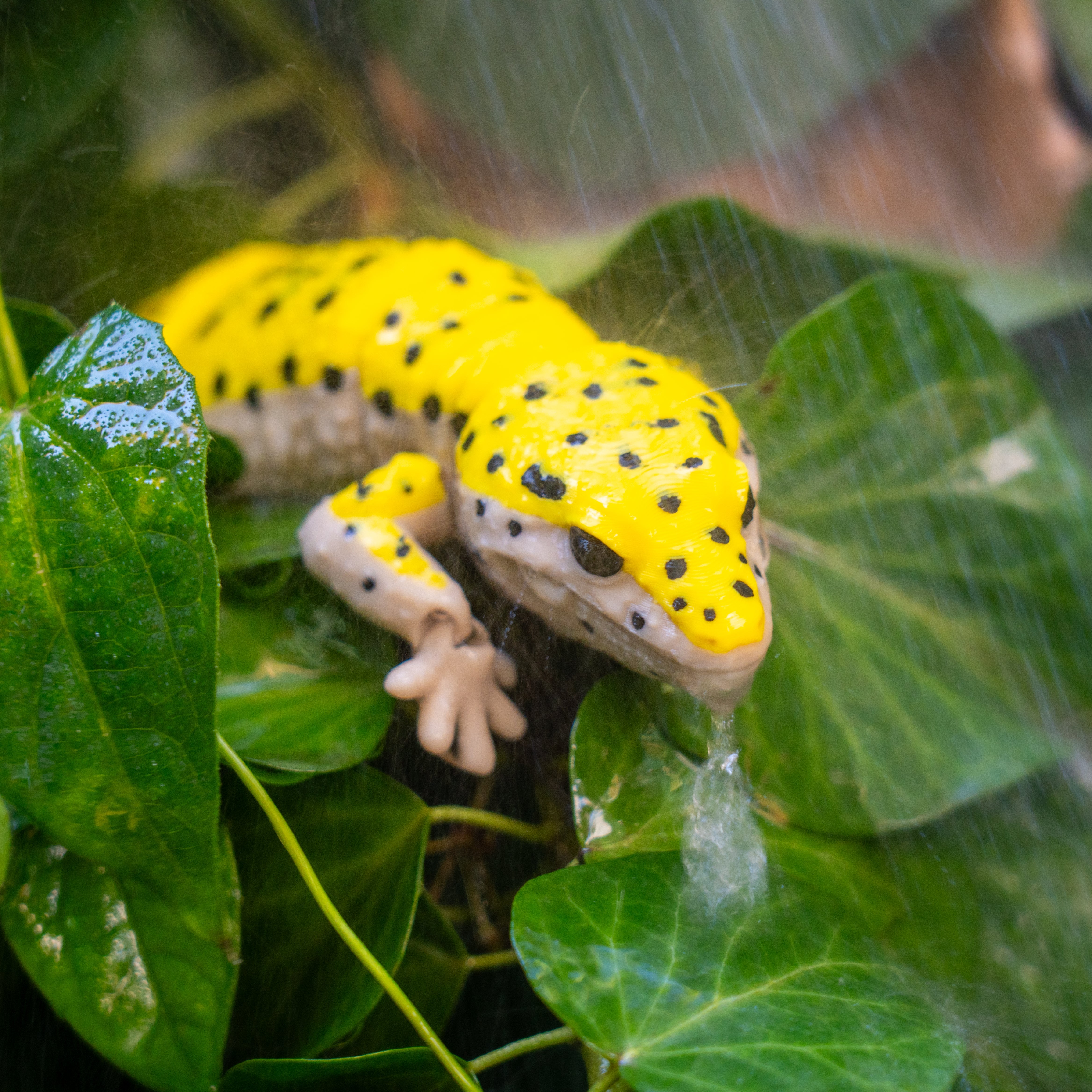 Juguete Gecko Leopardo Articulado
