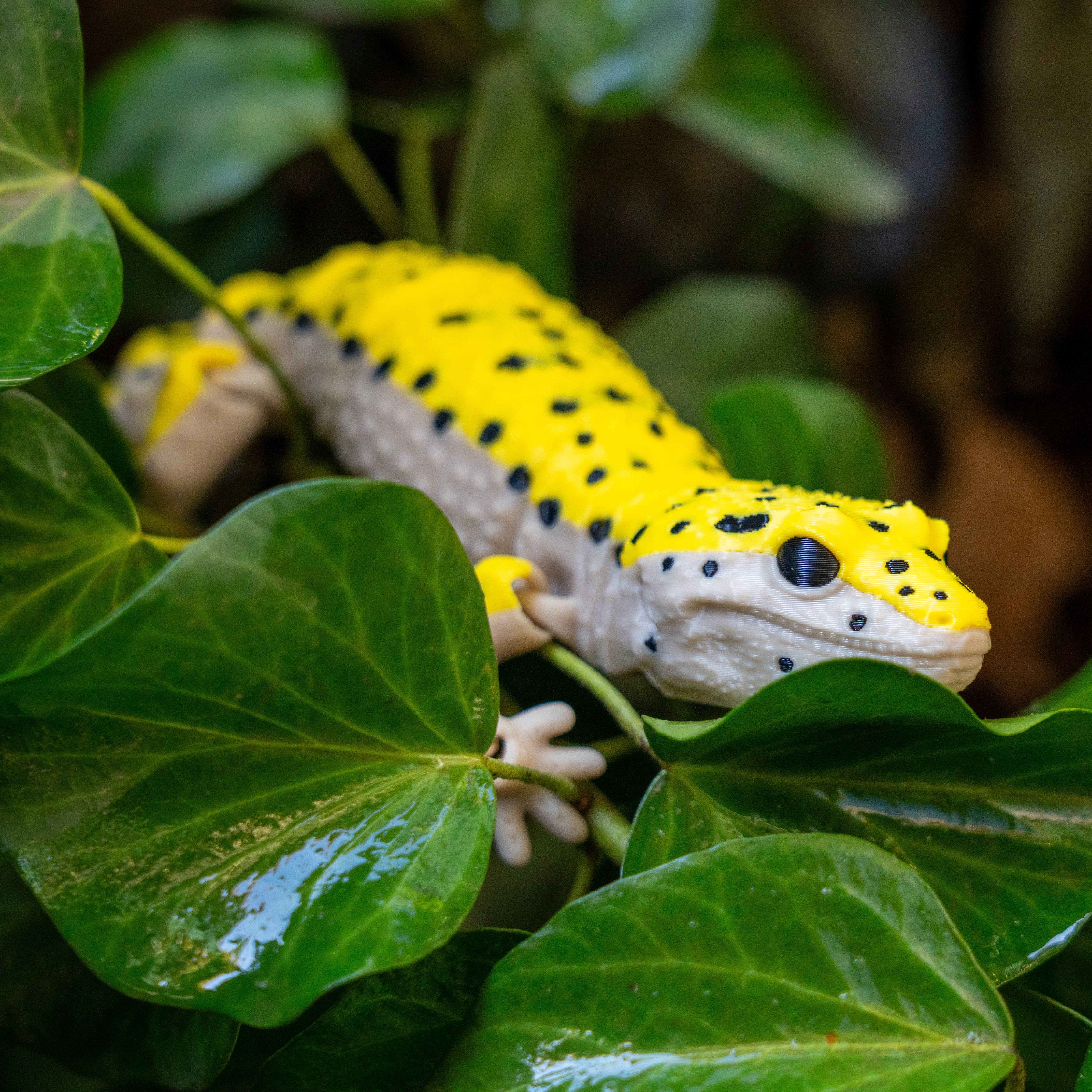 Juguete Gecko Leopardo Articulado