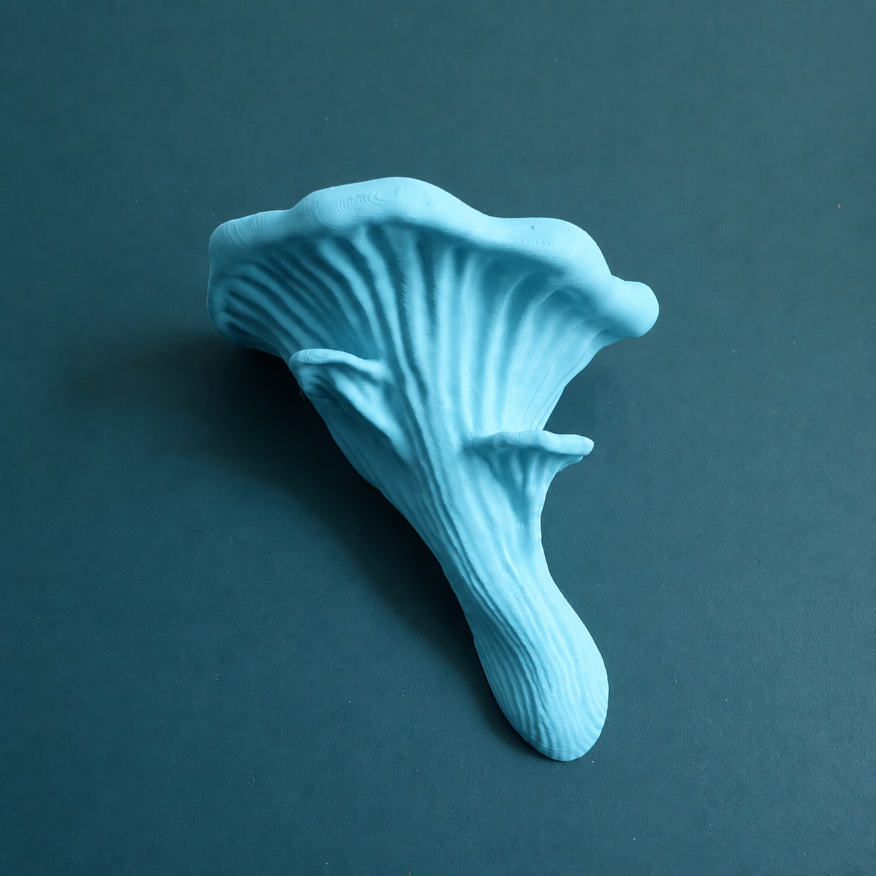 Oyster Mushroom Ledge