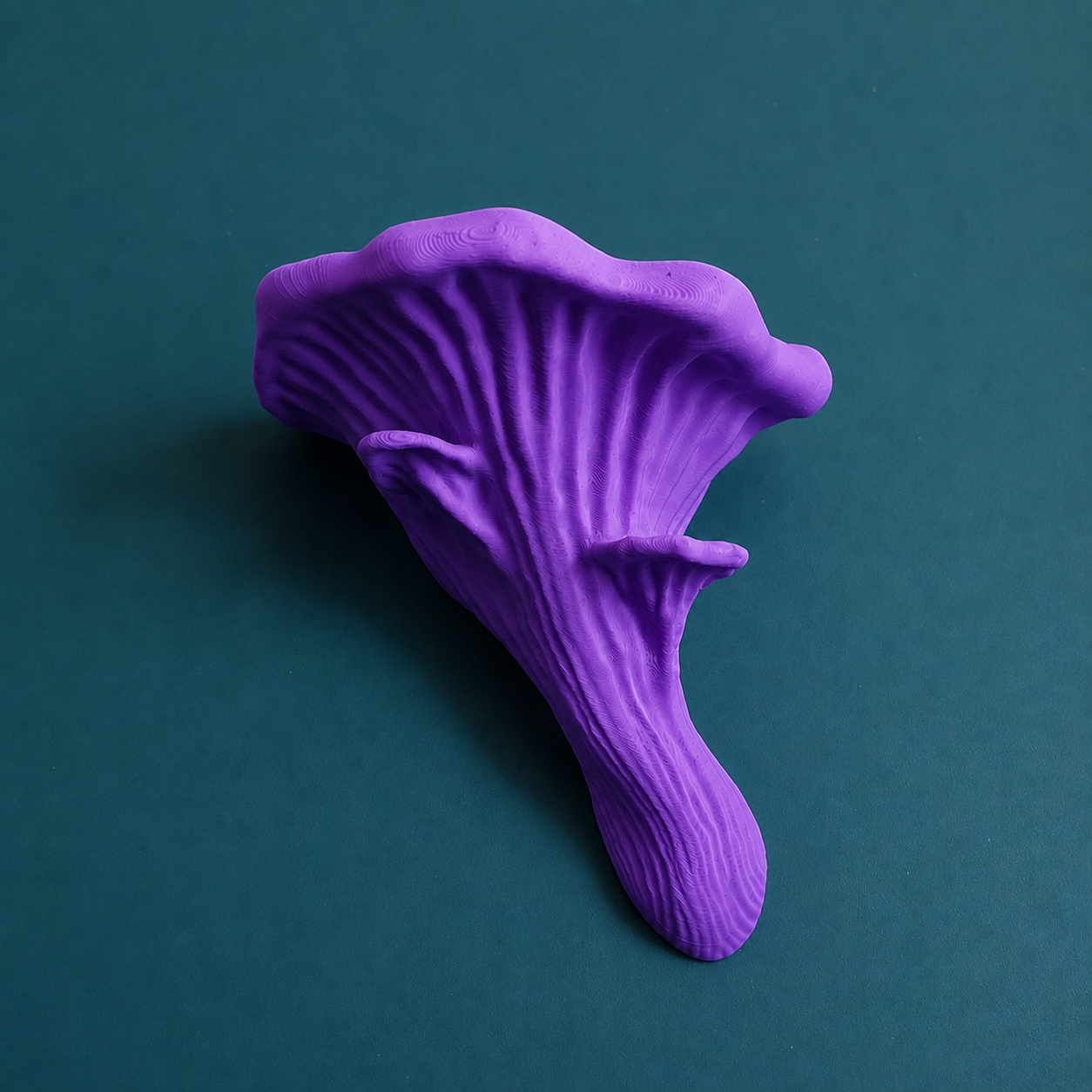 Oyster Mushroom Ledge