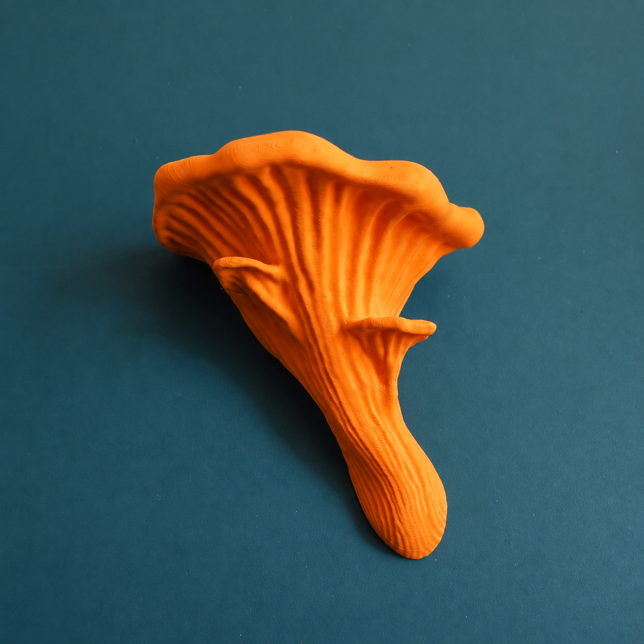 Oyster Mushroom Ledge