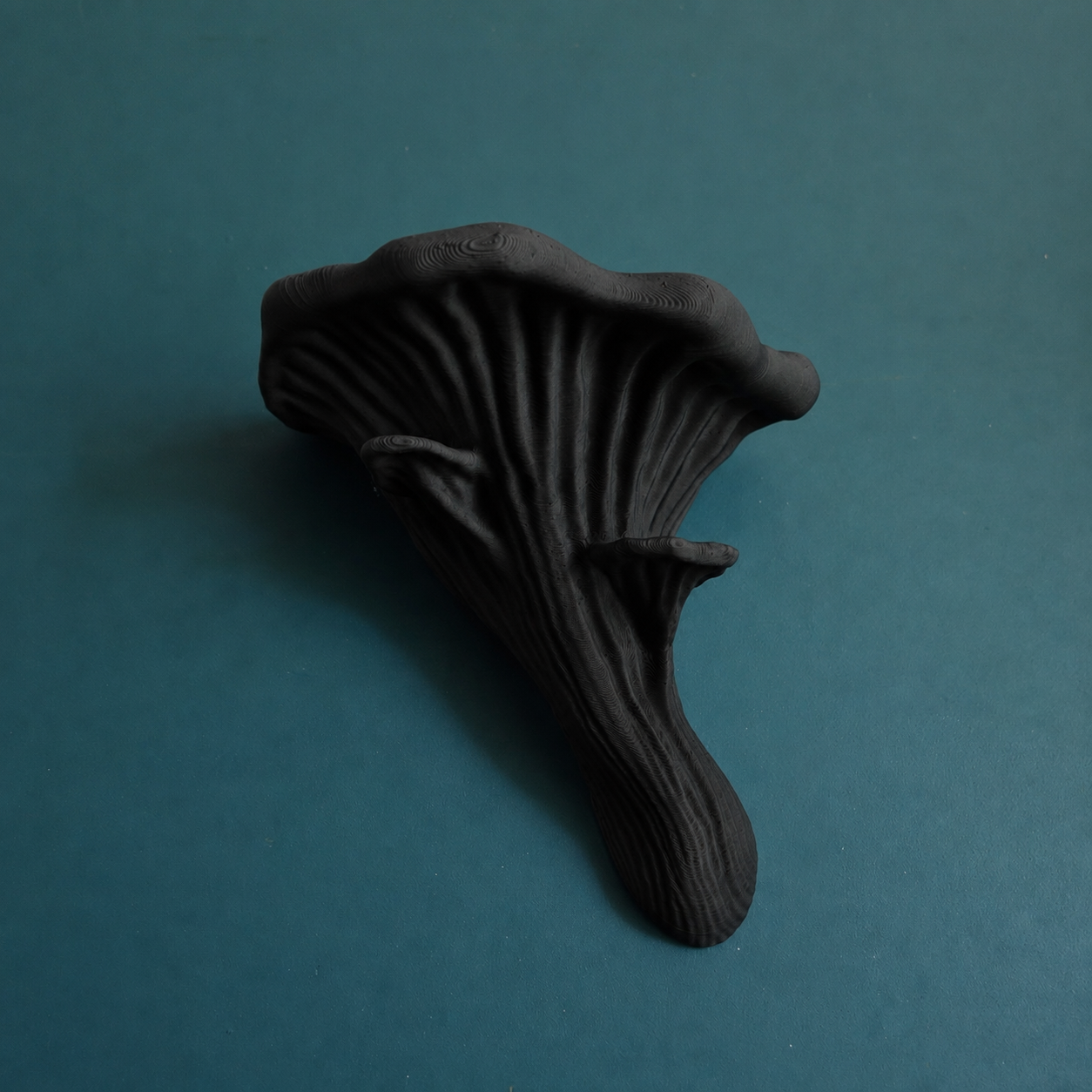 Oyster Mushroom Ledge