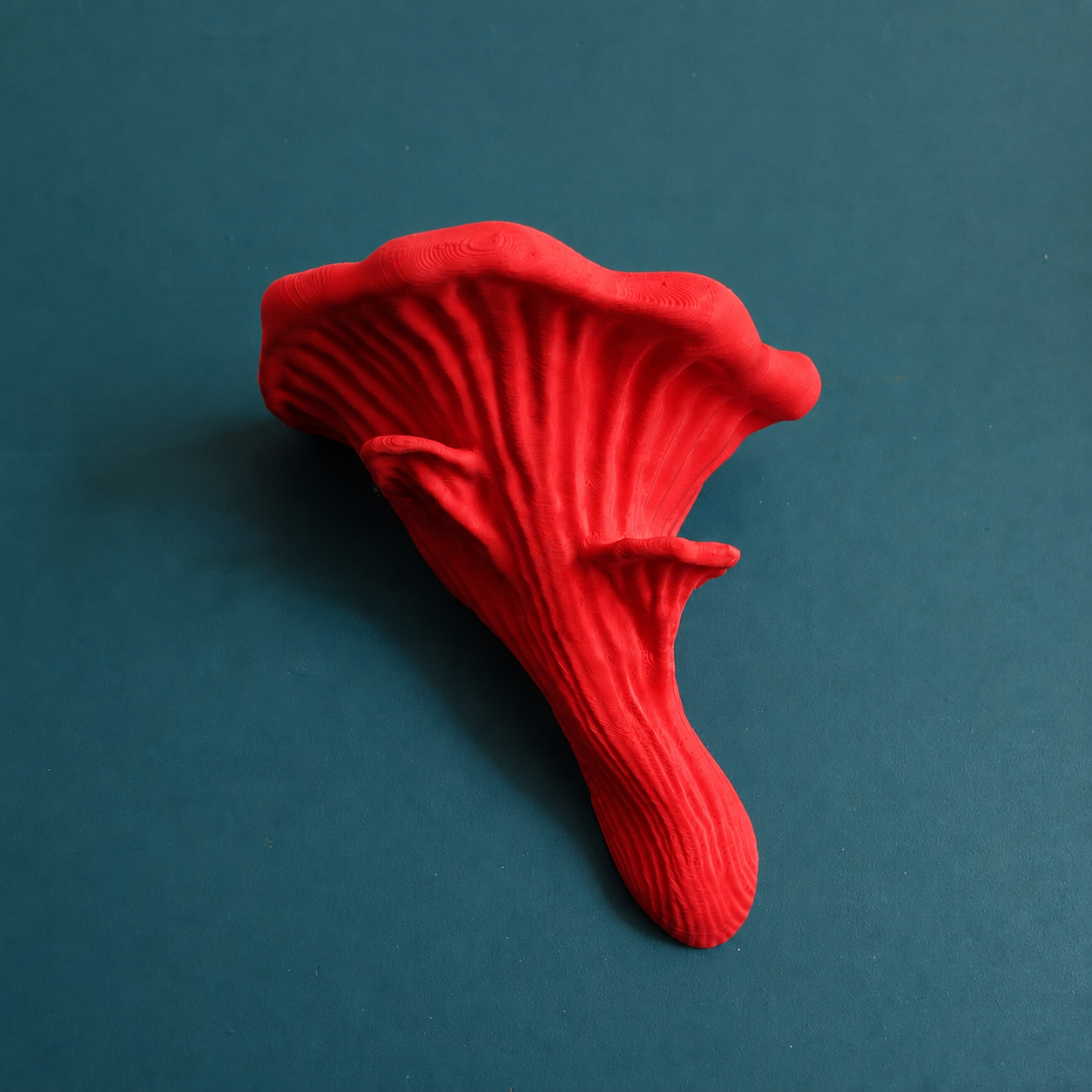 Oyster Mushroom Ledge