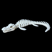 Articulated Mosasaur Skeleton