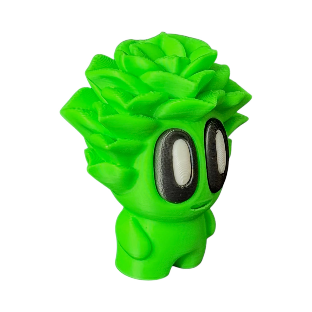 Dokoplant Sucusito