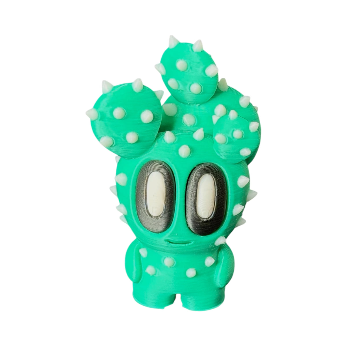 Dokoplant Cactusin