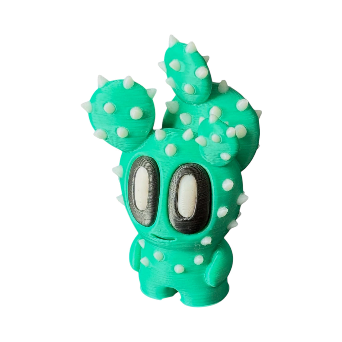 Dokoplant Cactusin