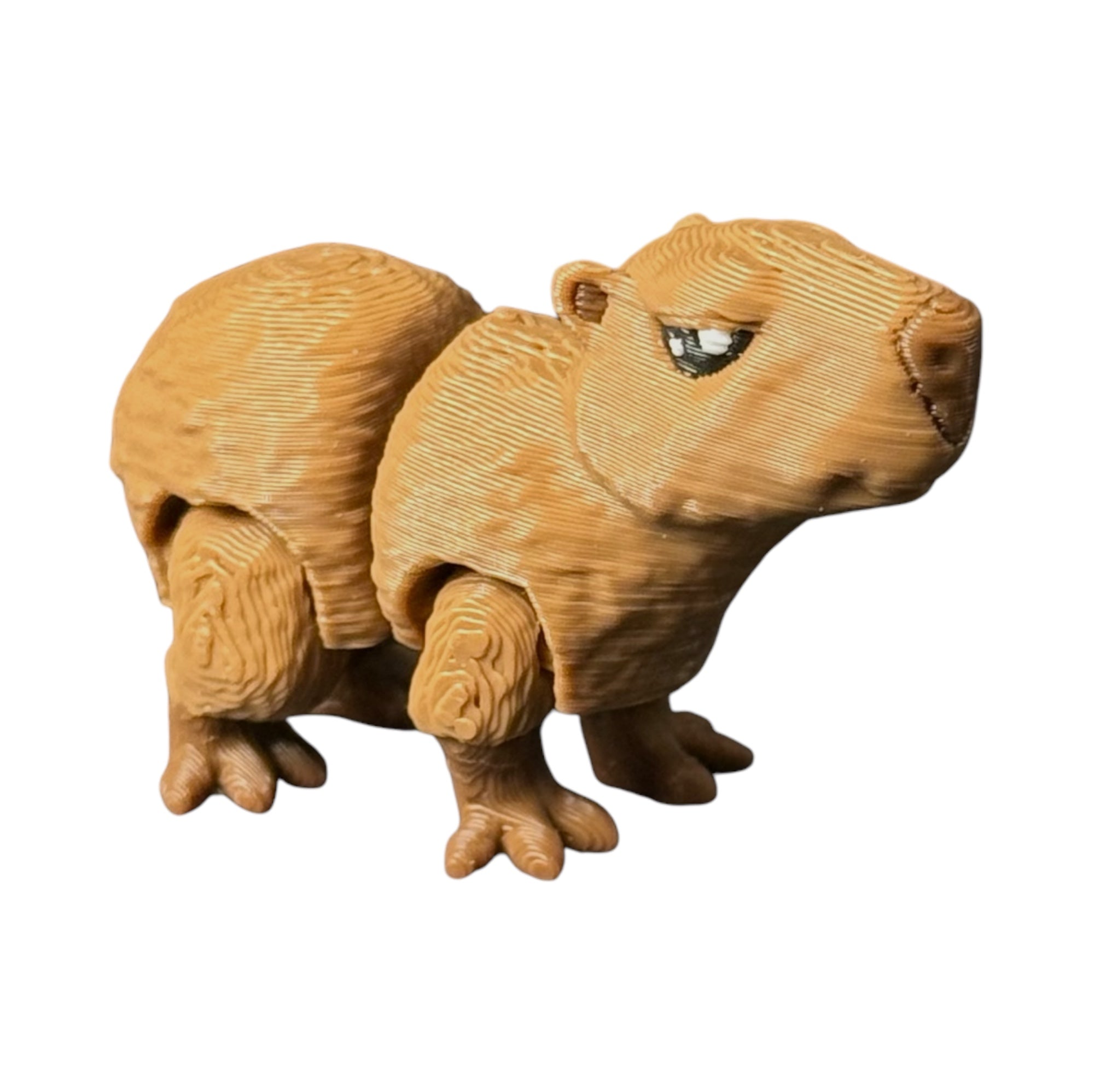 Modokin Capibara
