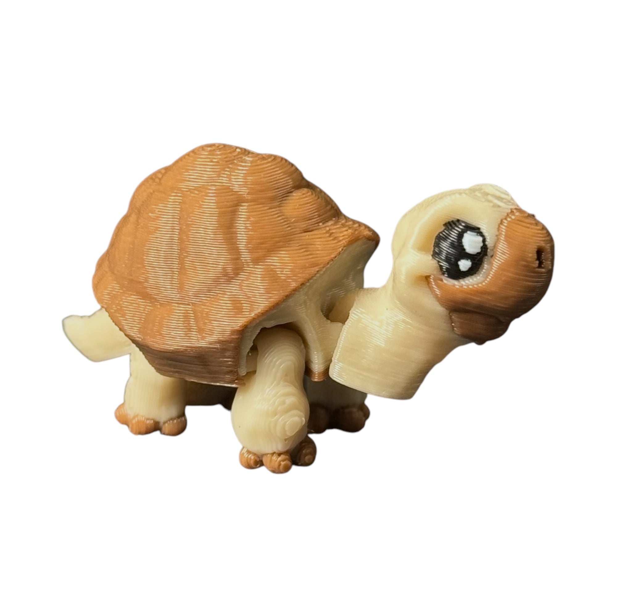 Modokin Tortuga de Tierra
