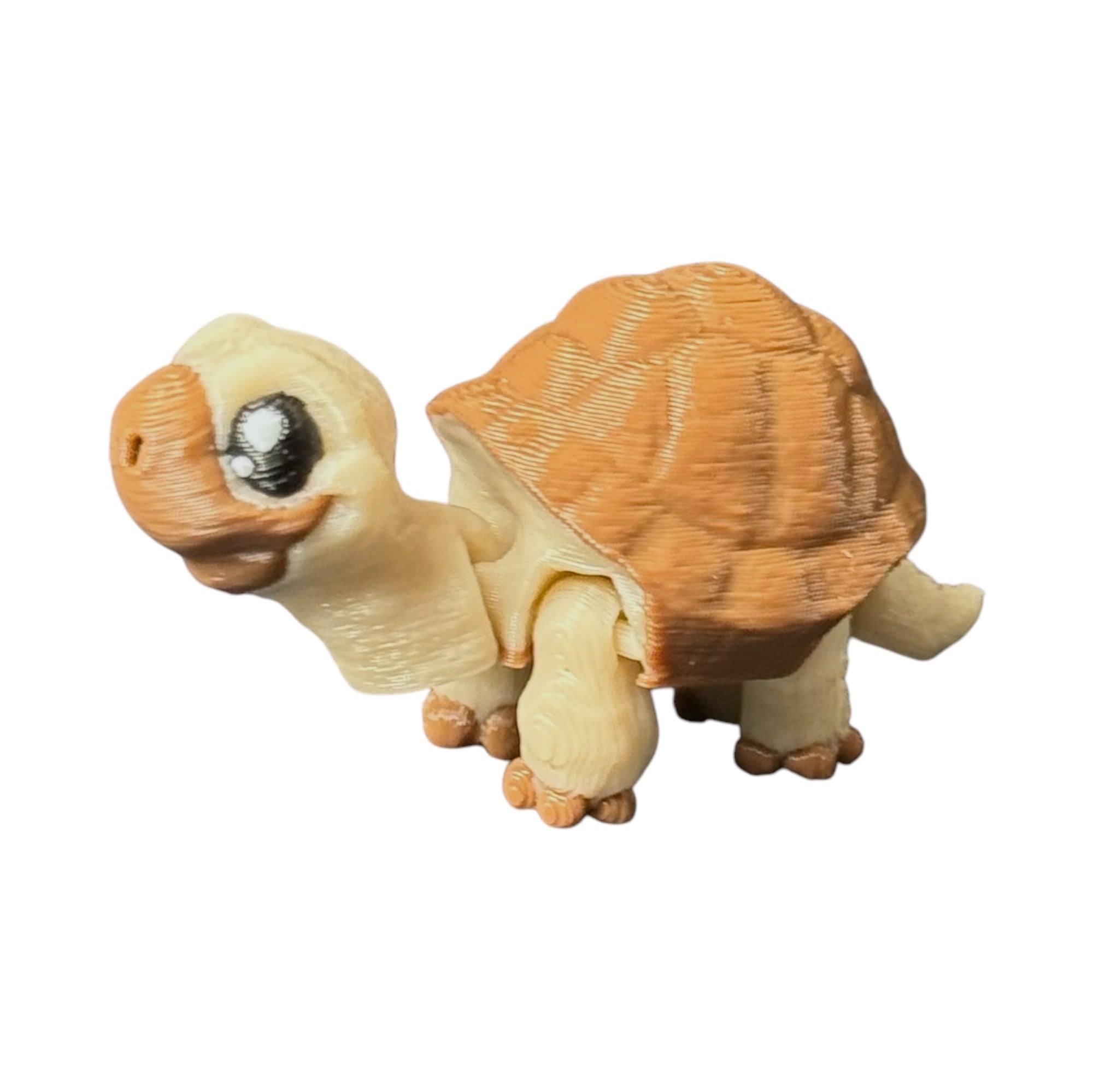 Modokin Tortuga de Tierra