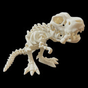 T-Rex Articulated Skeleton