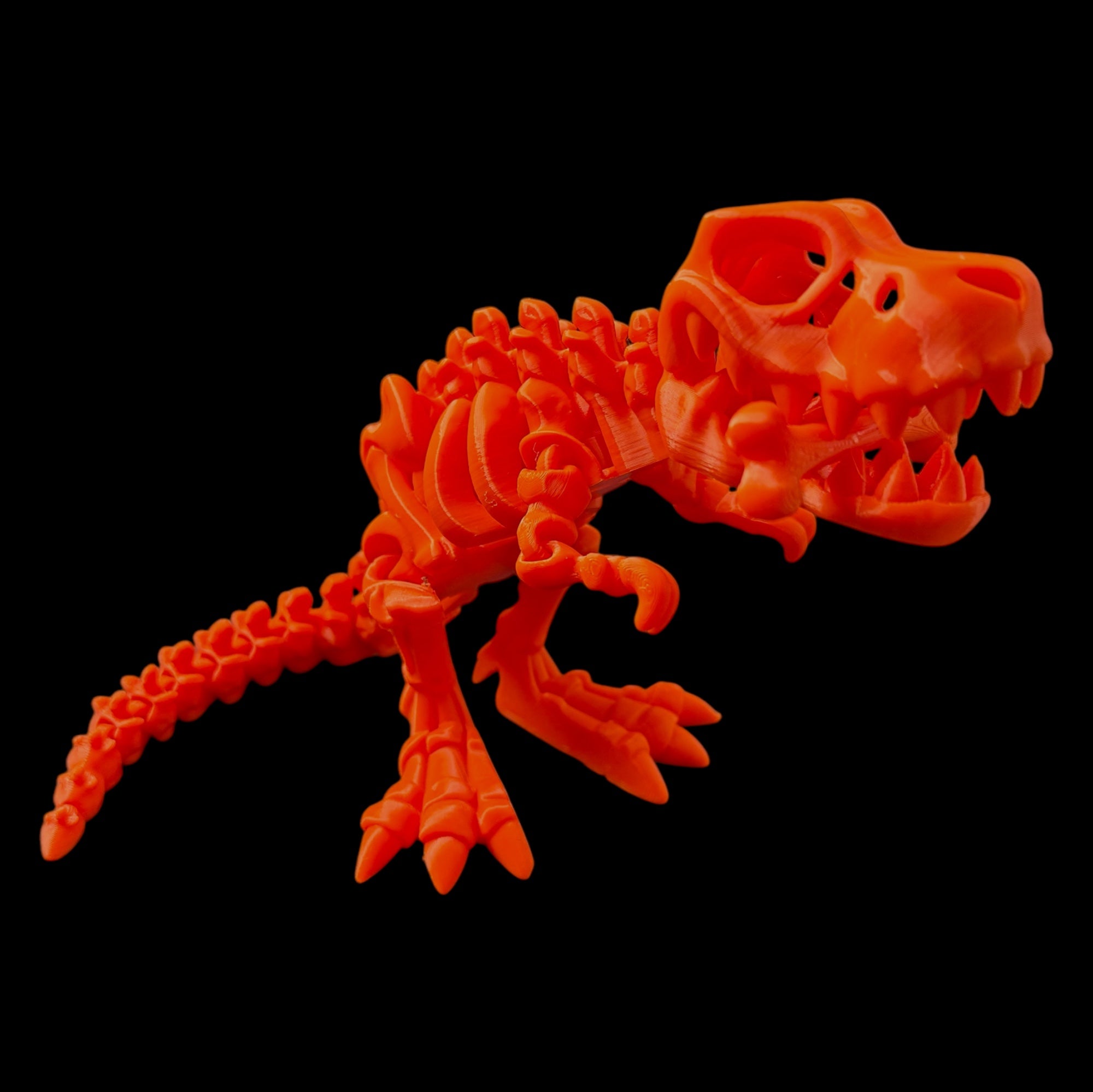Dokosaurio T-Rex Esqueleto Articulado