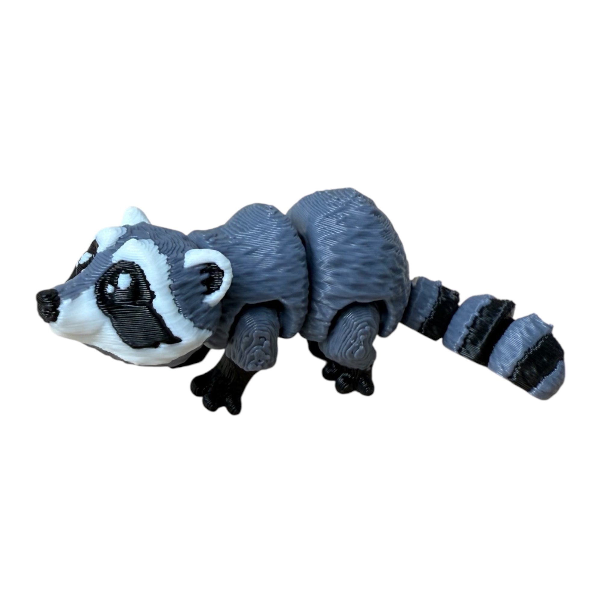 Modokin Mapache