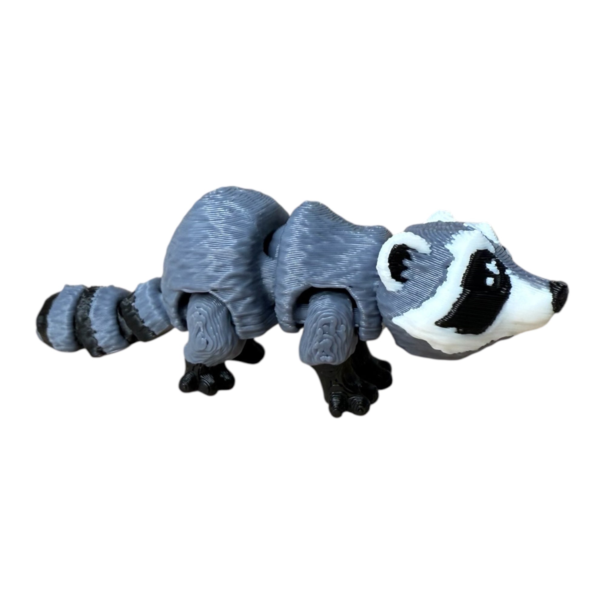 Modokin Mapache