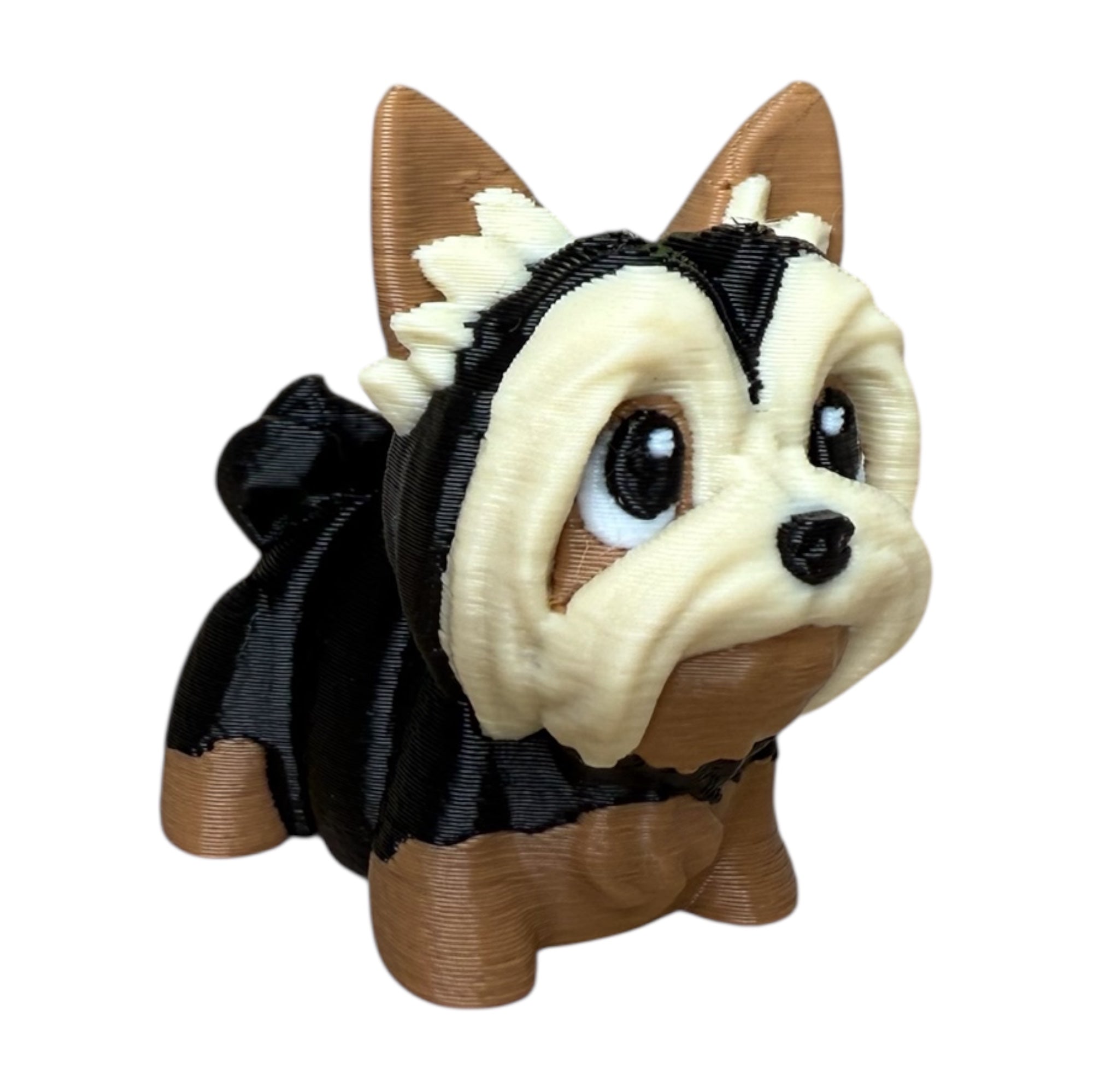 Modokin Perro Yorkshire