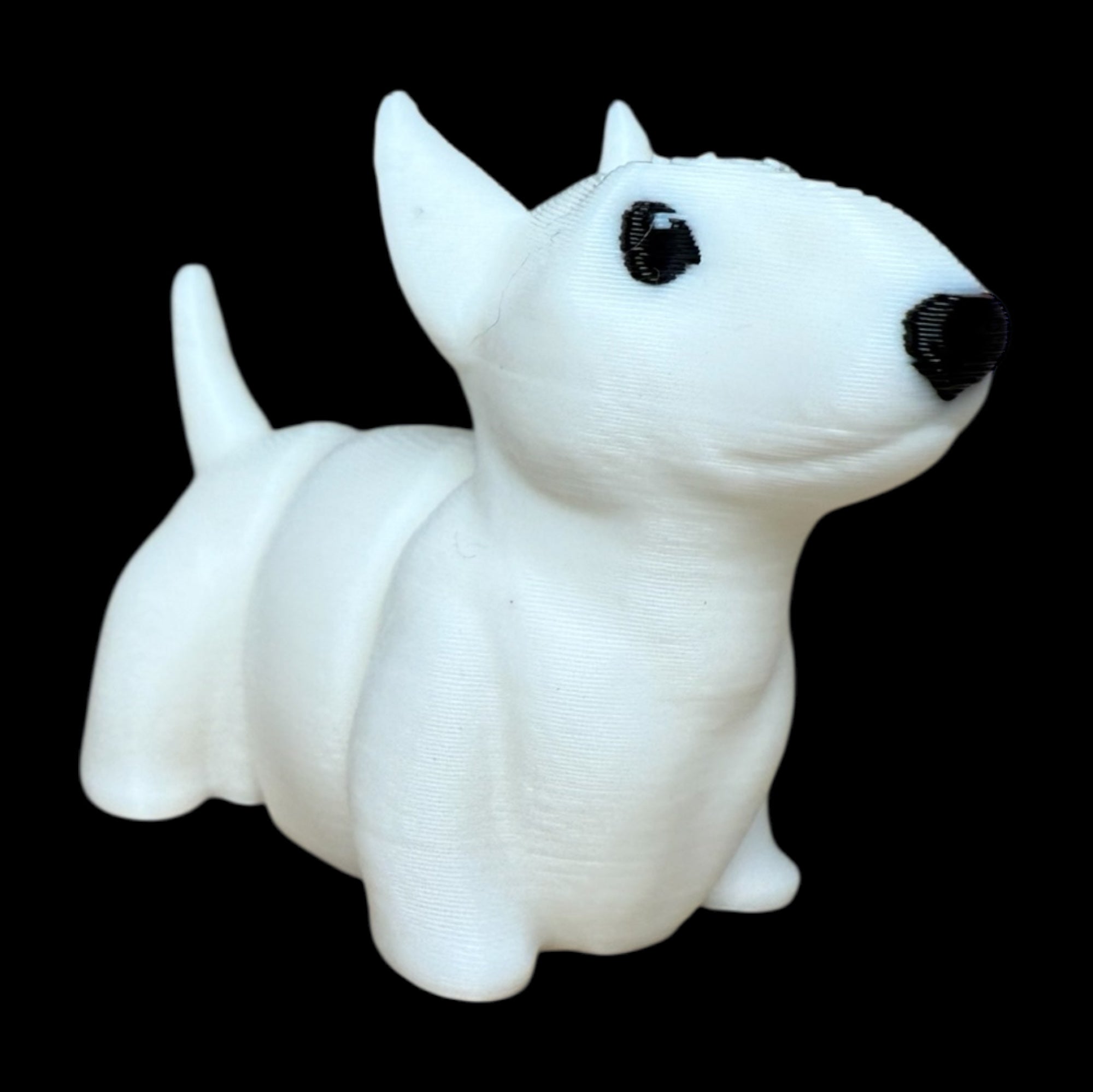 Modokin Perro Bull Terrier