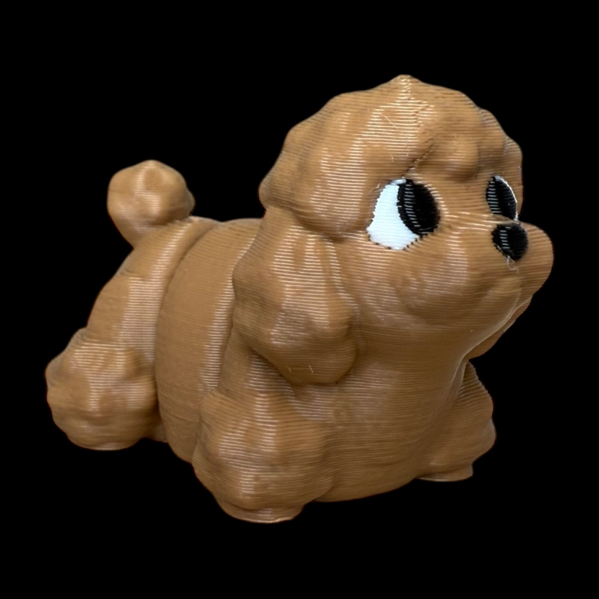 Modokin Perro Poodle