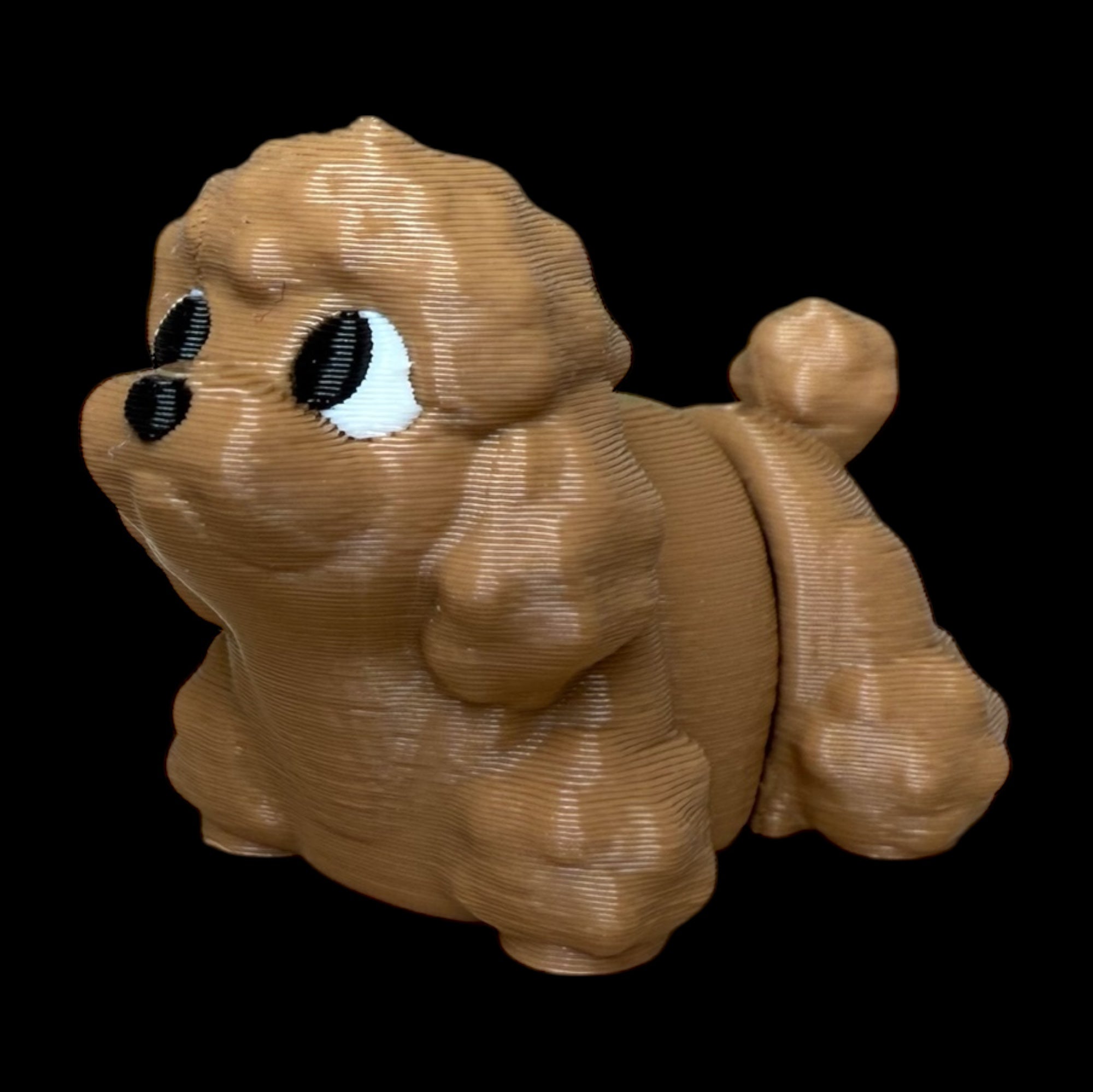 Modokin Perro Poodle