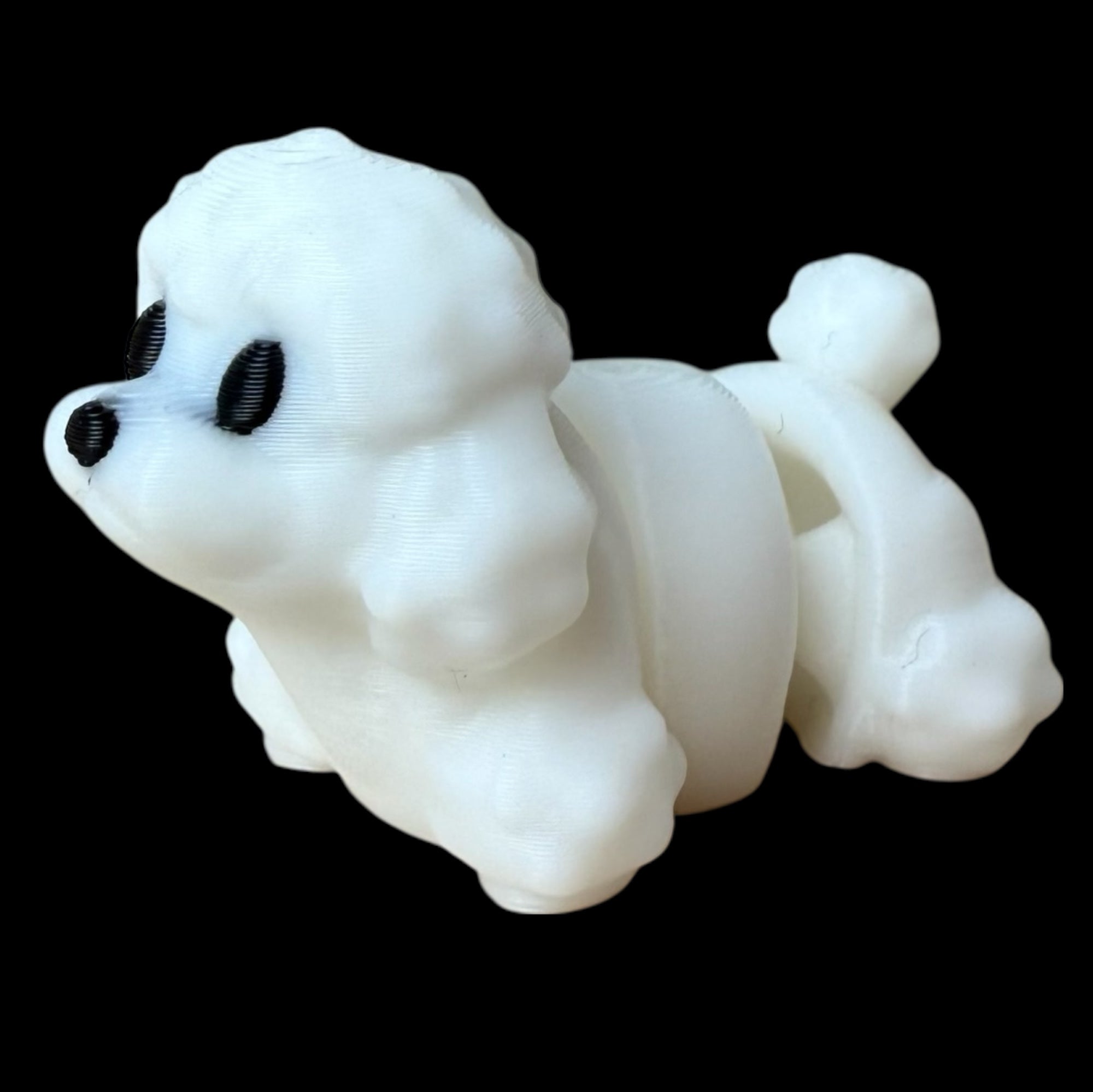 Modokin Perro Poodle