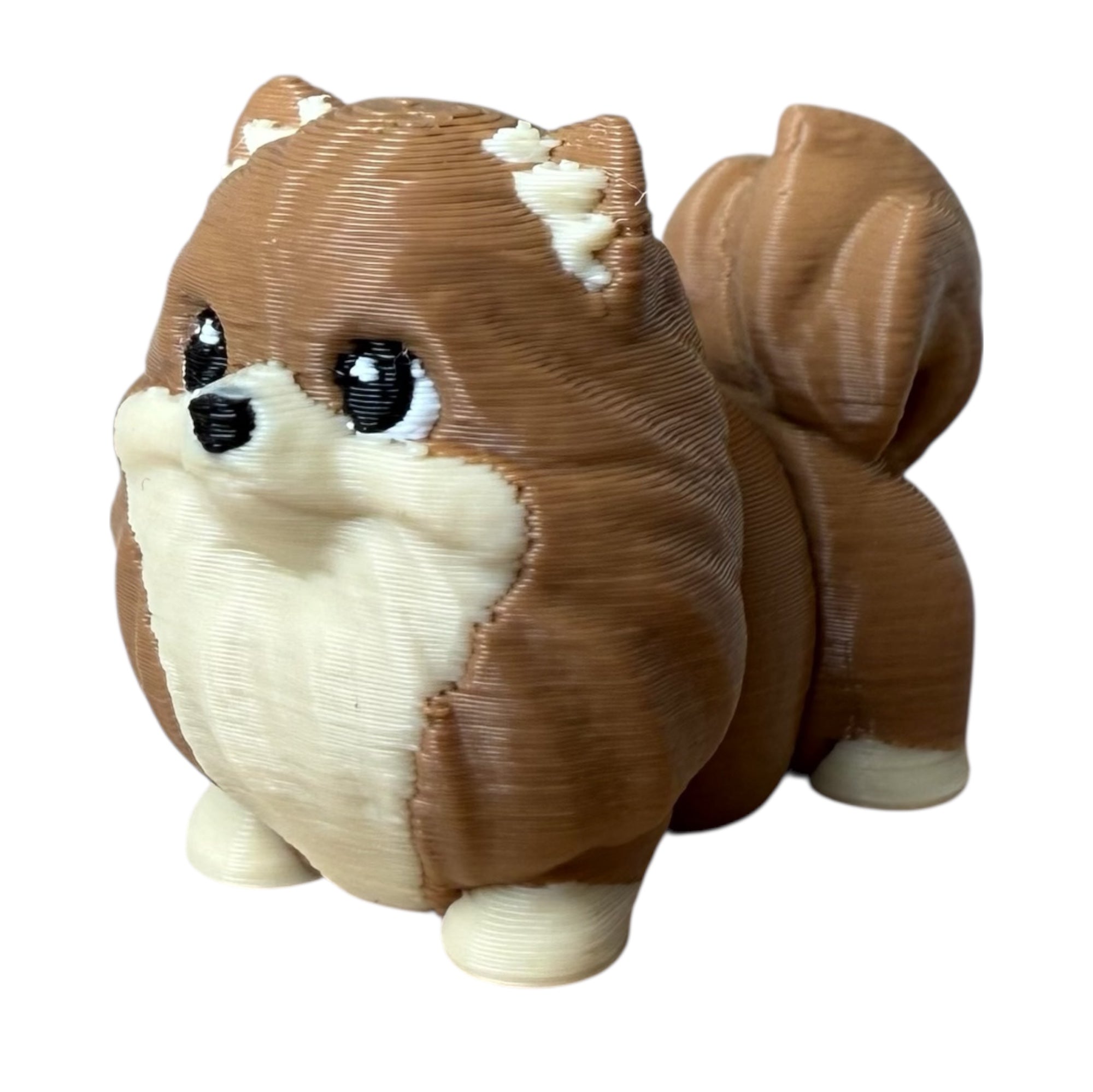 Modokin Perro Pomerania