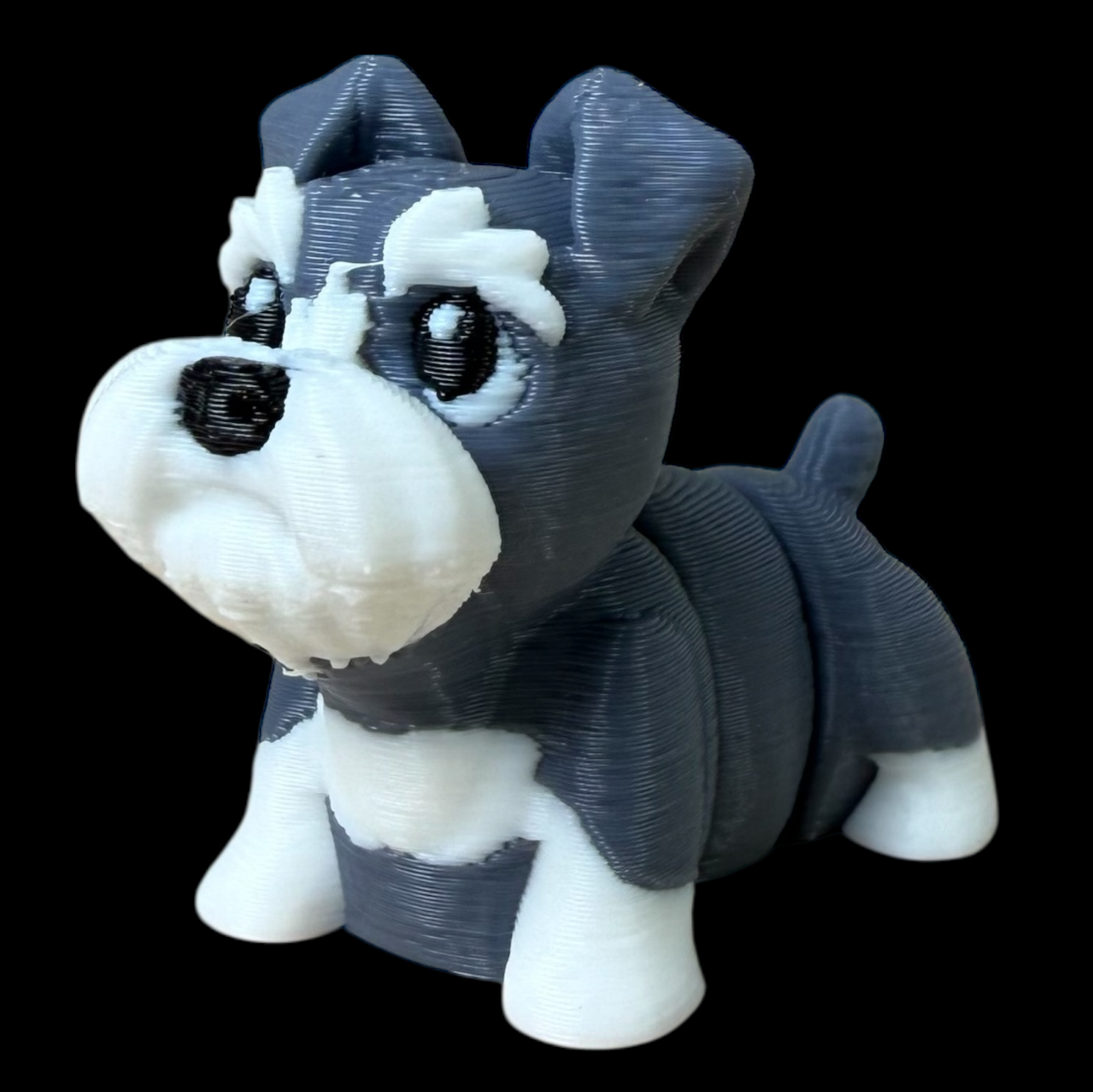 Modokin Perro Schnauzer