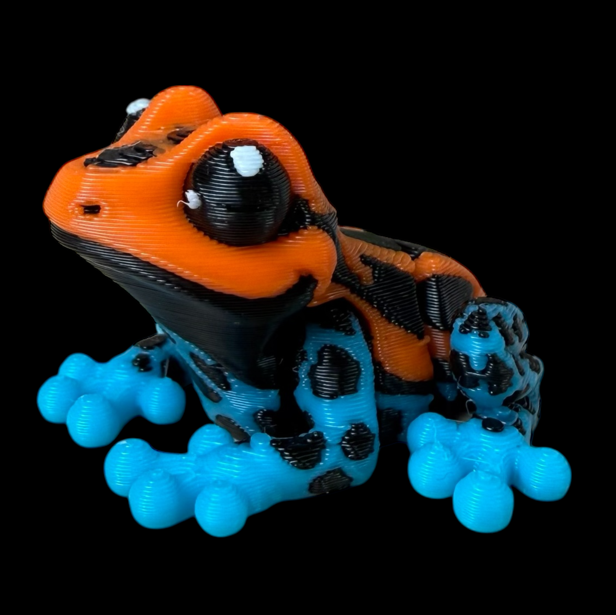 Modokin Rana Arborea