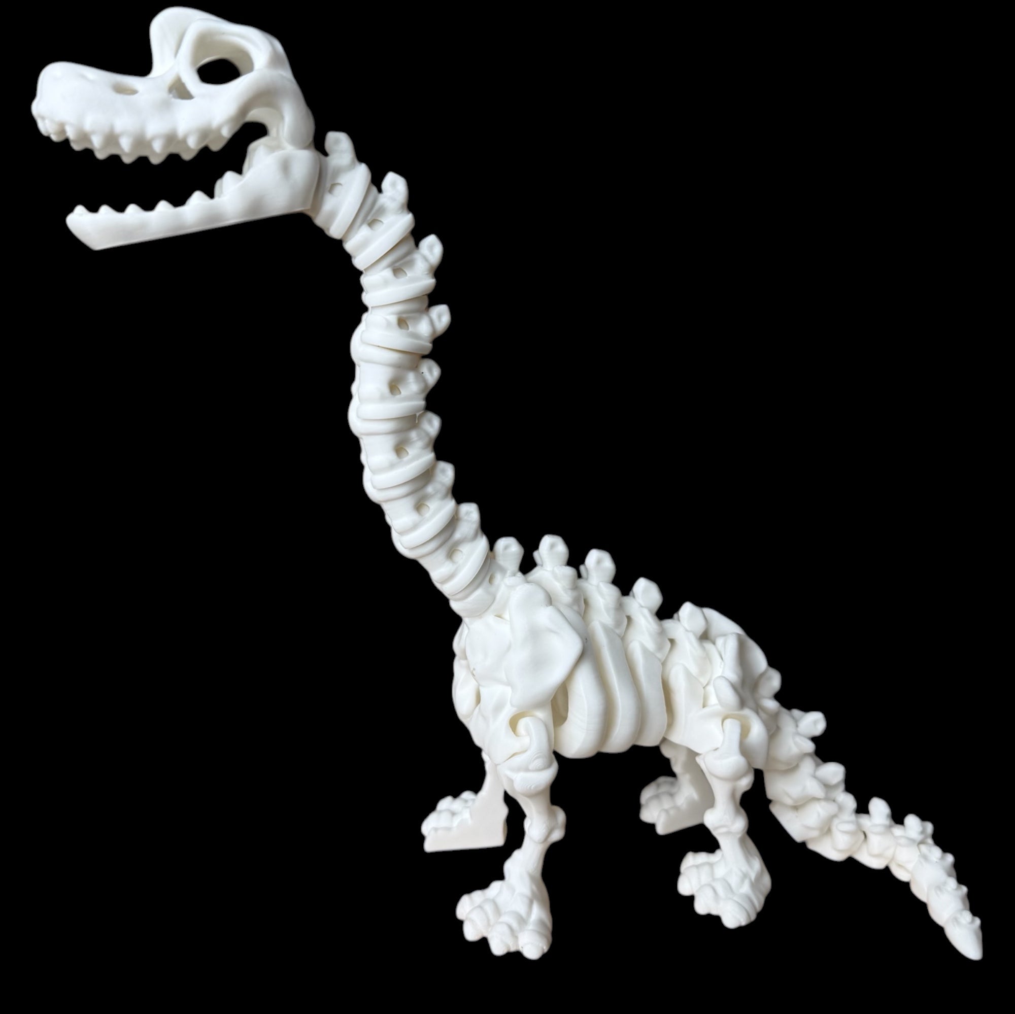 Braquiosaurio Esqueleto Articulado
