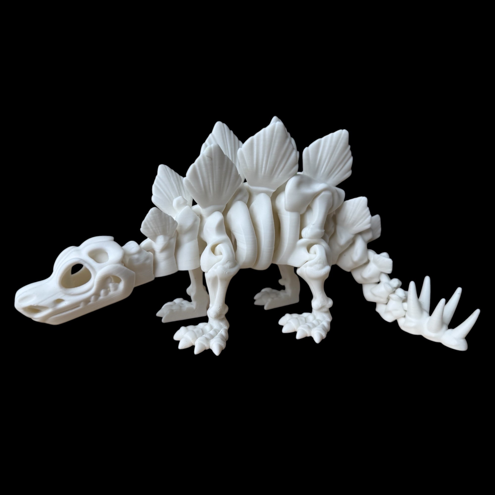 Estegosaurio Esqueleto Articulado