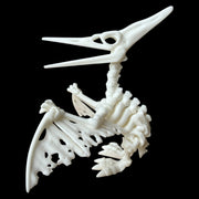 Pteranodon Articulated Skeleton