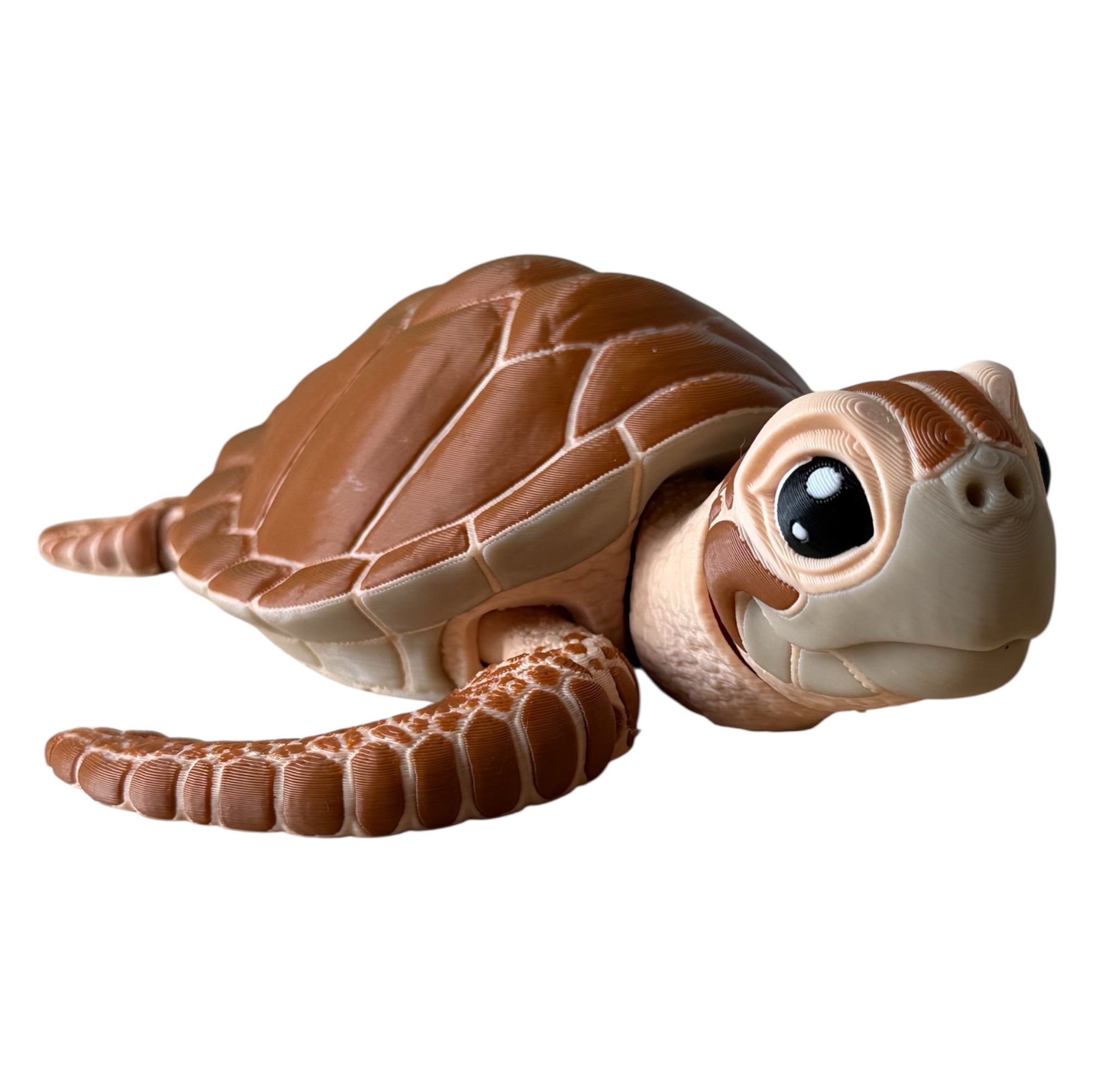 Tortuga Marina Articulada