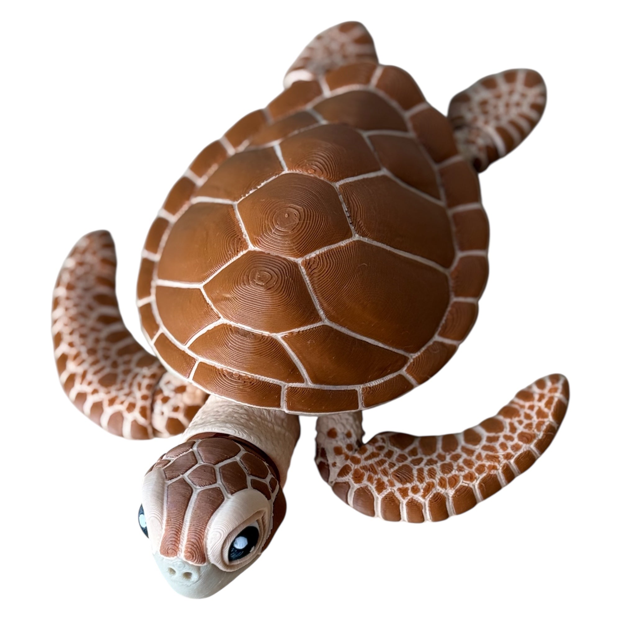 Tortuga Marina Articulada