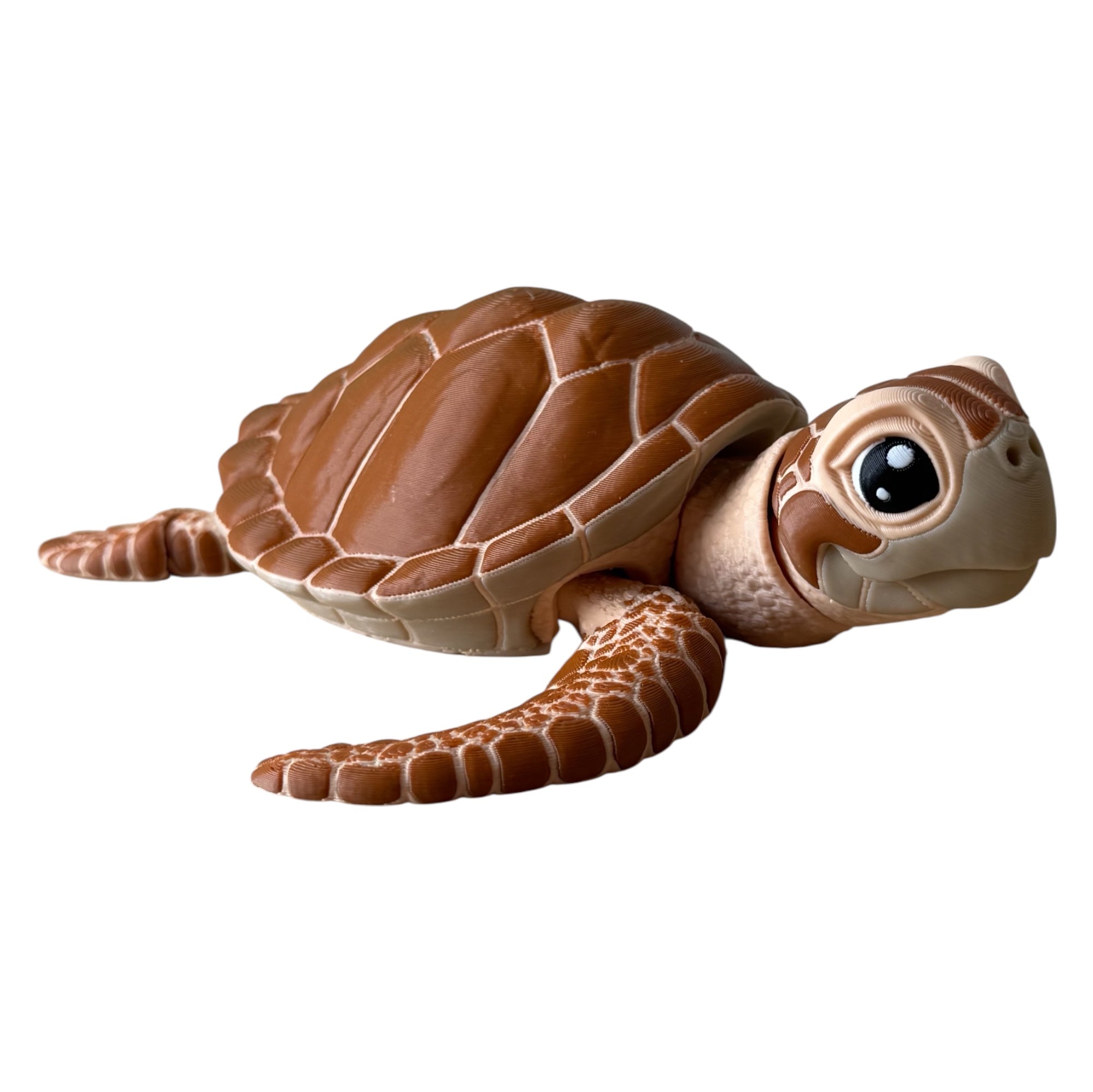 Tortuga Marina Articulada