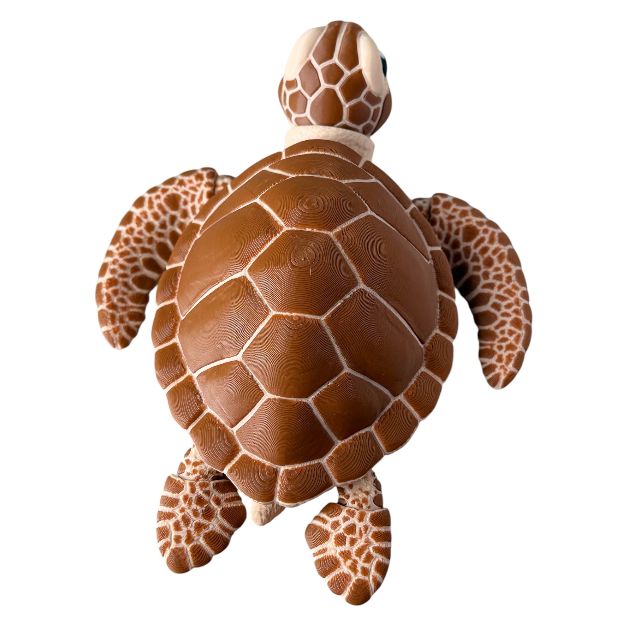 Tortuga Marina Articulada