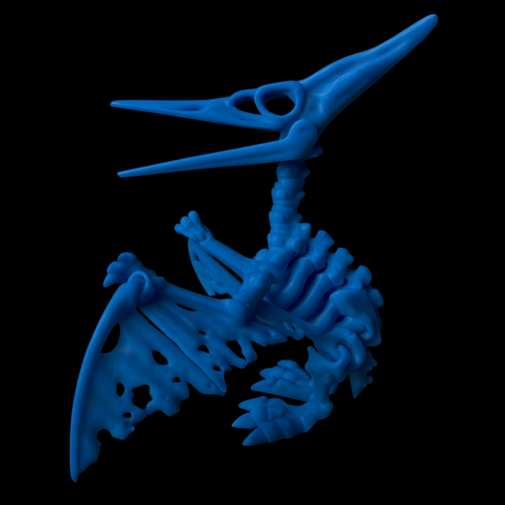 Pteranodon Esqueleto Articulado