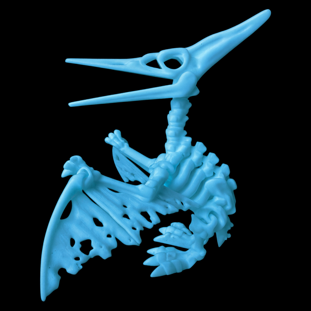 Pteranodon Esqueleto Articulado