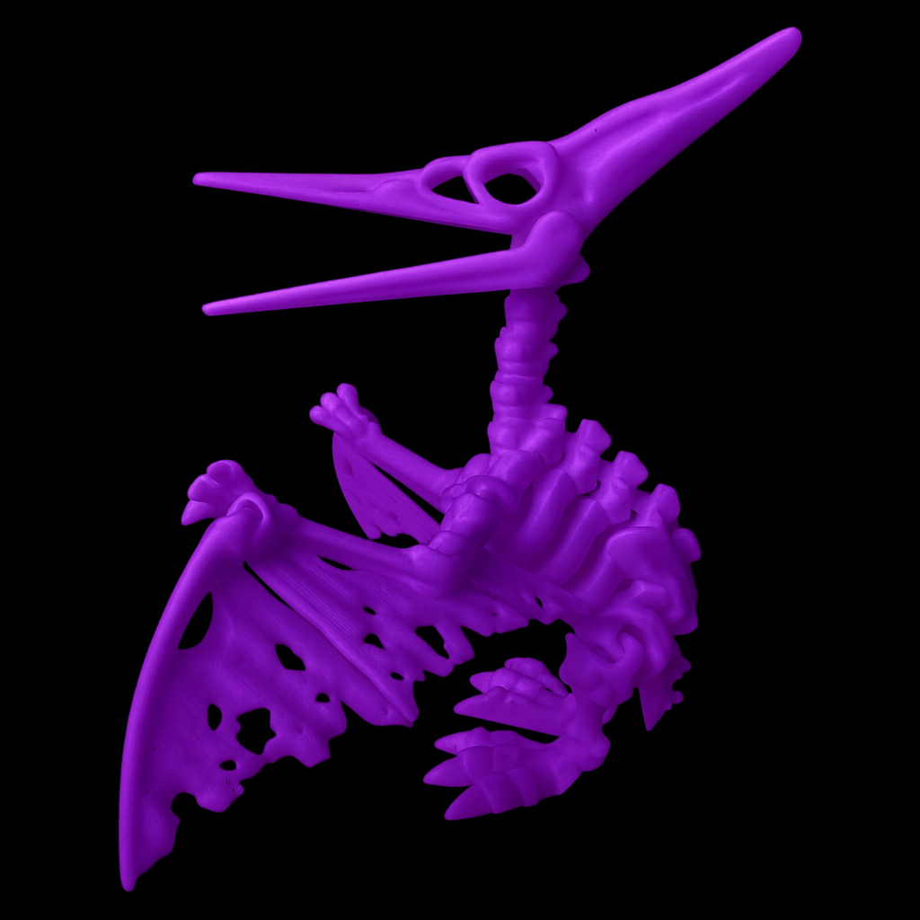 Pteranodon Esqueleto Articulado