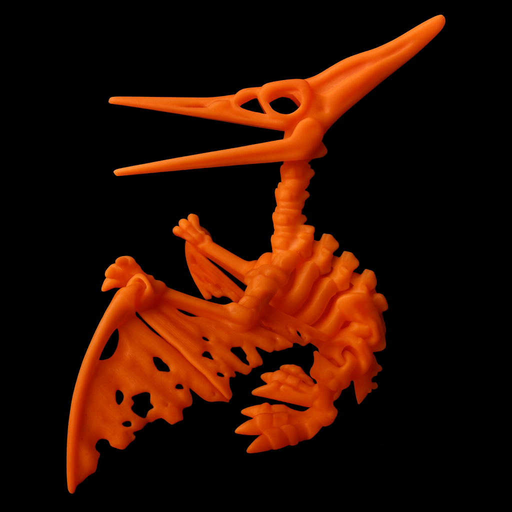 Pteranodon Esqueleto Articulado